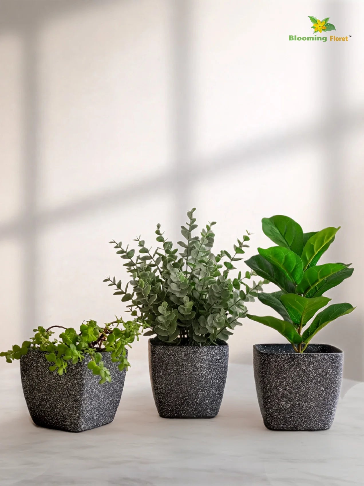 Coarse Textured Square Planter Pot | 13 cm | Set of 3