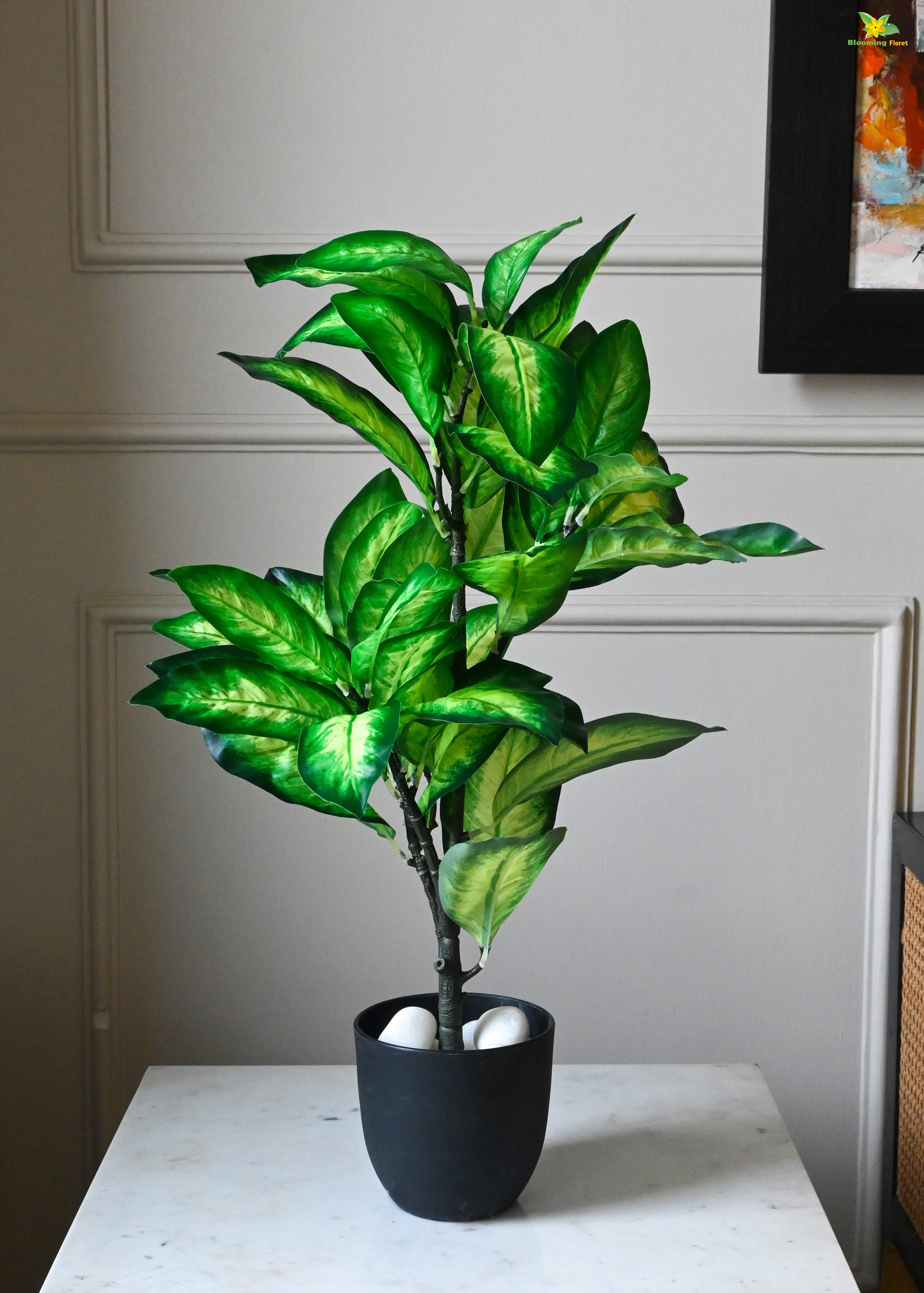 Artificial Dieffenbachia Seguine Plant for Decor 30 Leaves with Basic Pot | 65 cm