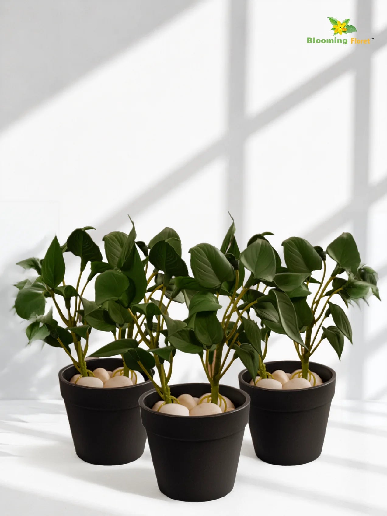 Artificial Money Plant Succulent | Dark Green | 15 cm | Set of 3