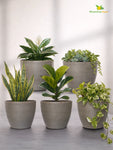 Decorative Pots | Light Brown | 12 cm | Set of 5