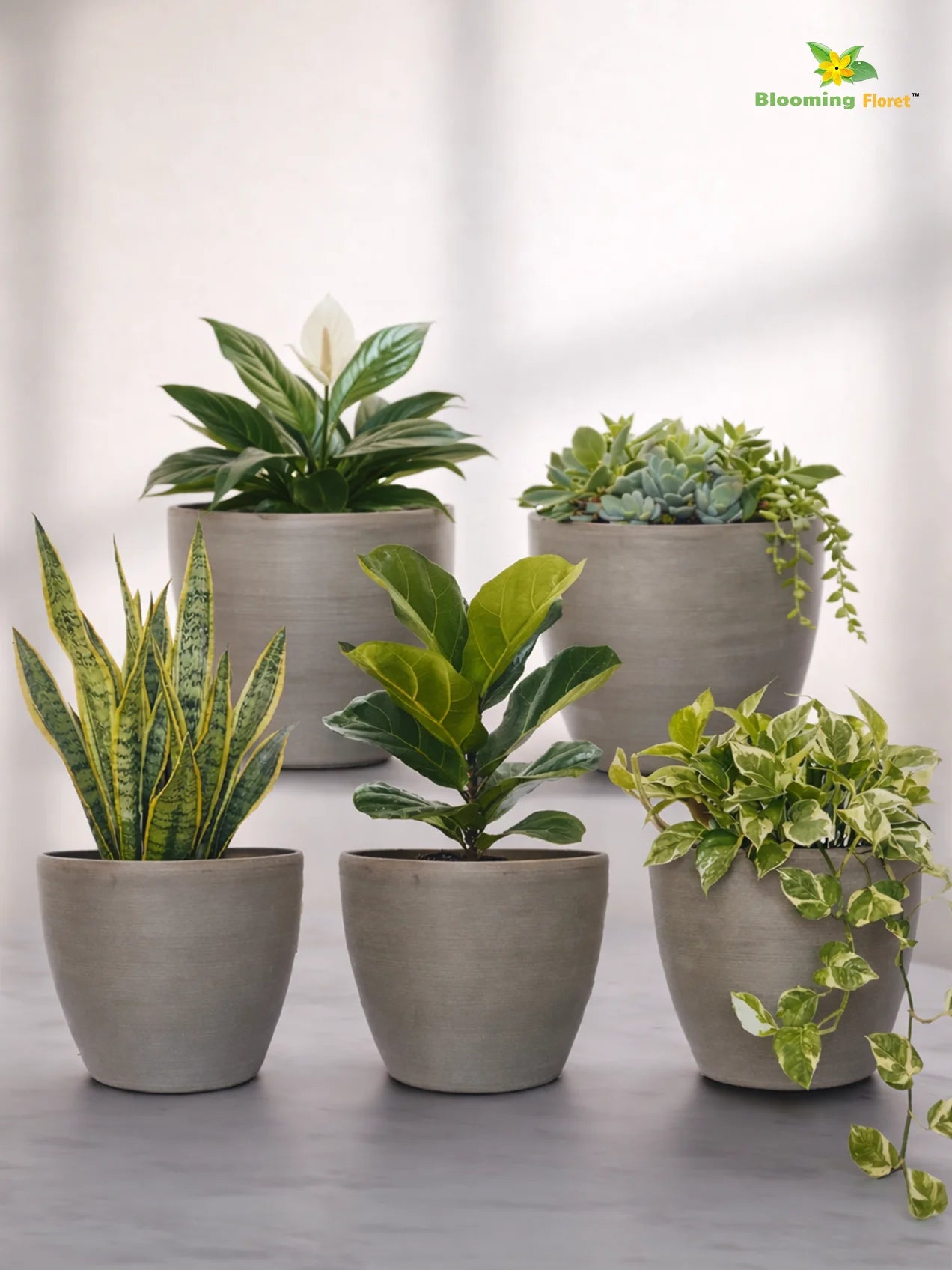 Decorative Pots | Light Brown | 12 cm | Set of 5