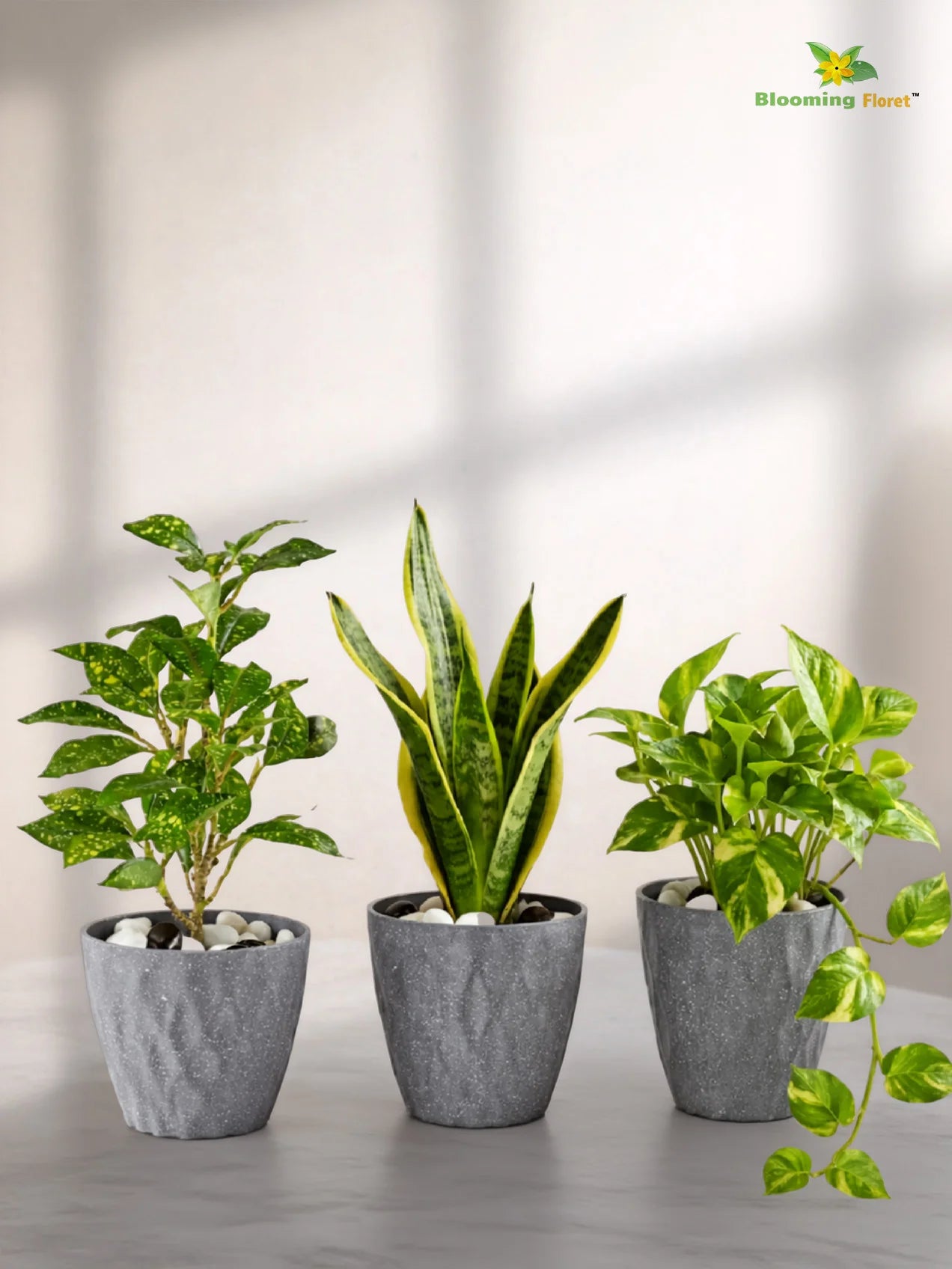 Diamond Pattern Round Planter | 13 cm | Set of 3
