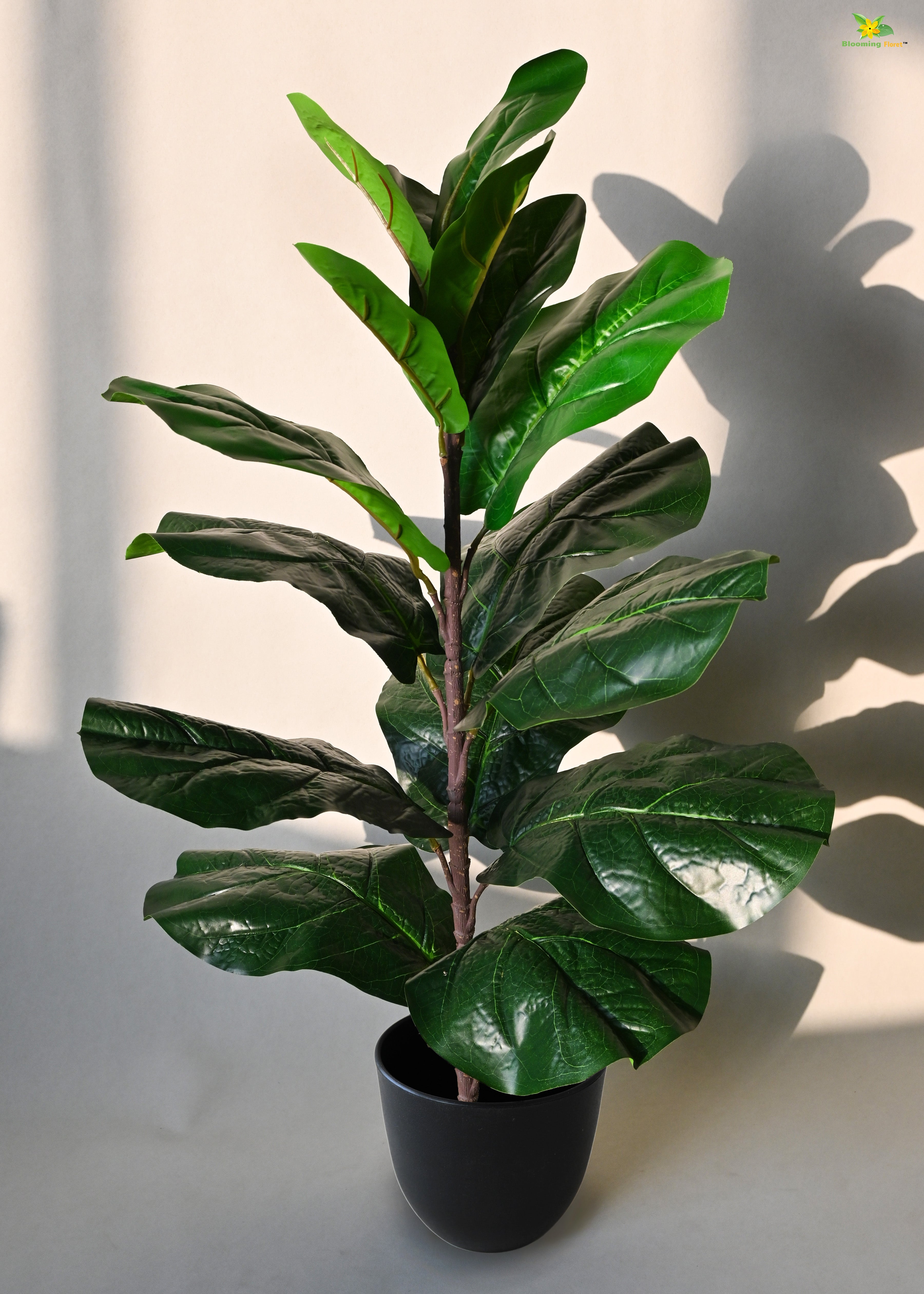 Artificial Fiddle-Leaf Fig Plant for Decor 16 Leaves with Basic Pot | 66 cm