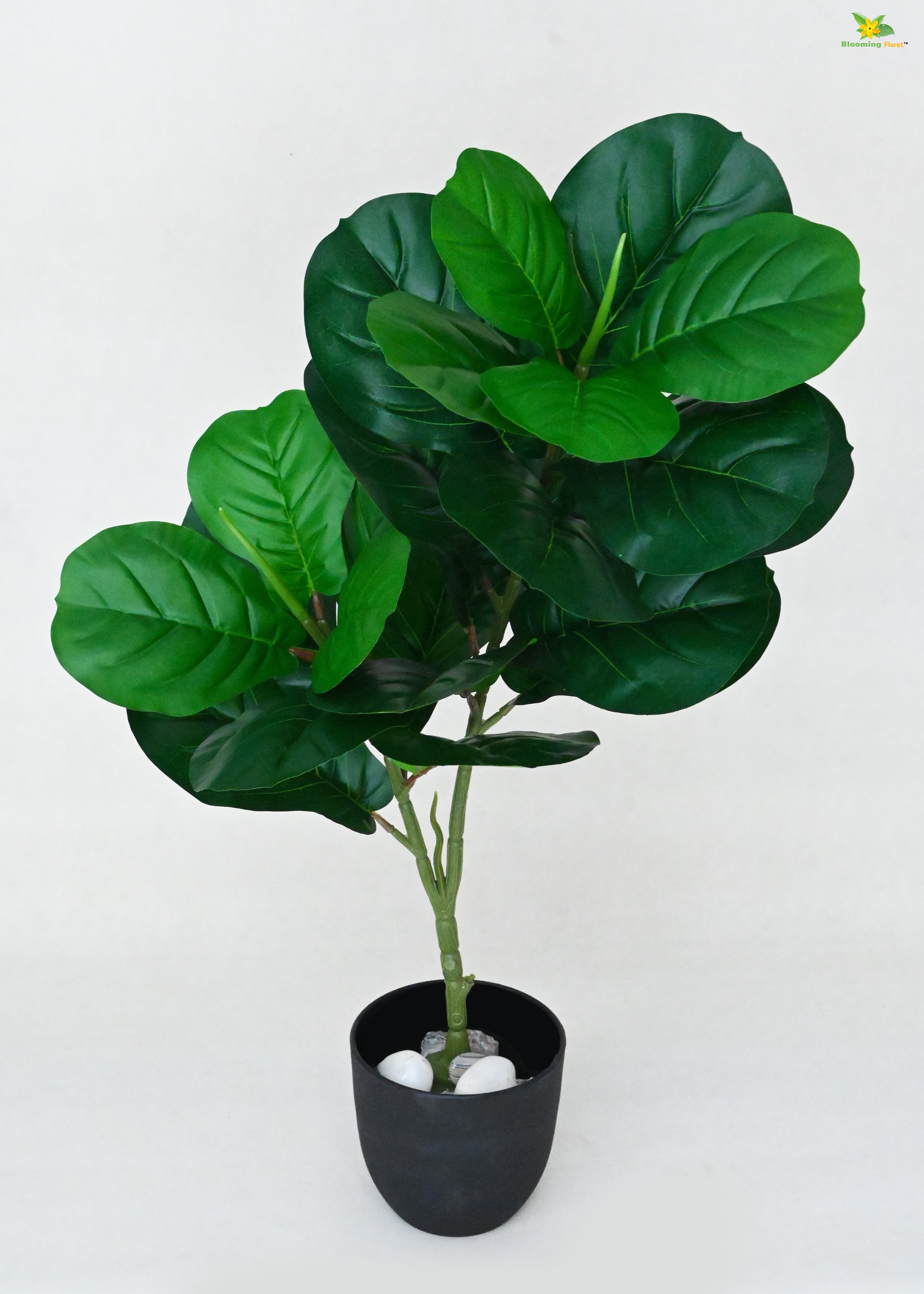 Artificial Fiddle-Leaf Fig Plant for Decor | 24 Leaves with Basic Pot | 74.9 cm