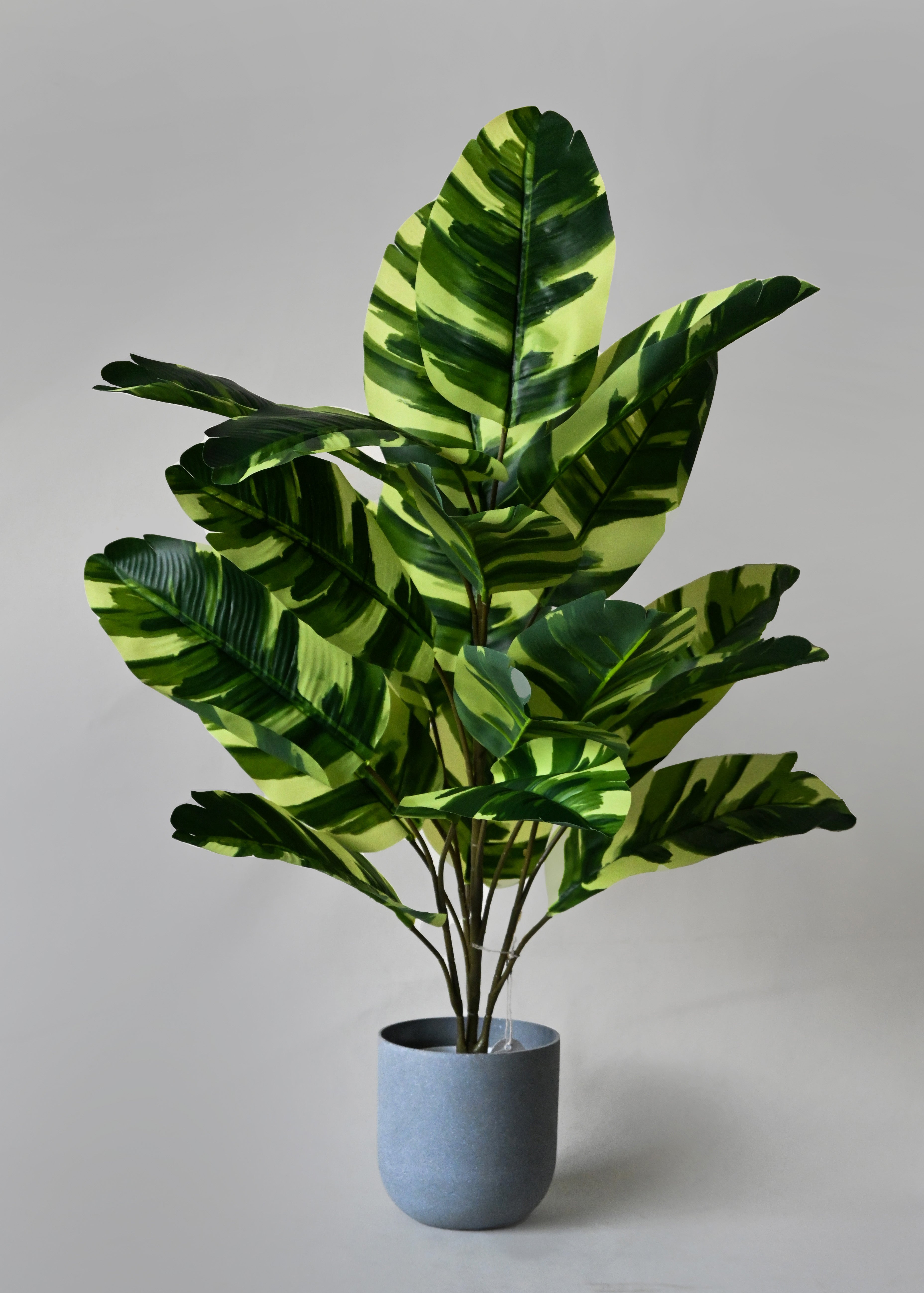 Artificial Calathea Zebrina Plant for Decor | 21 Leaves with Basic Pot | 78.7 cm