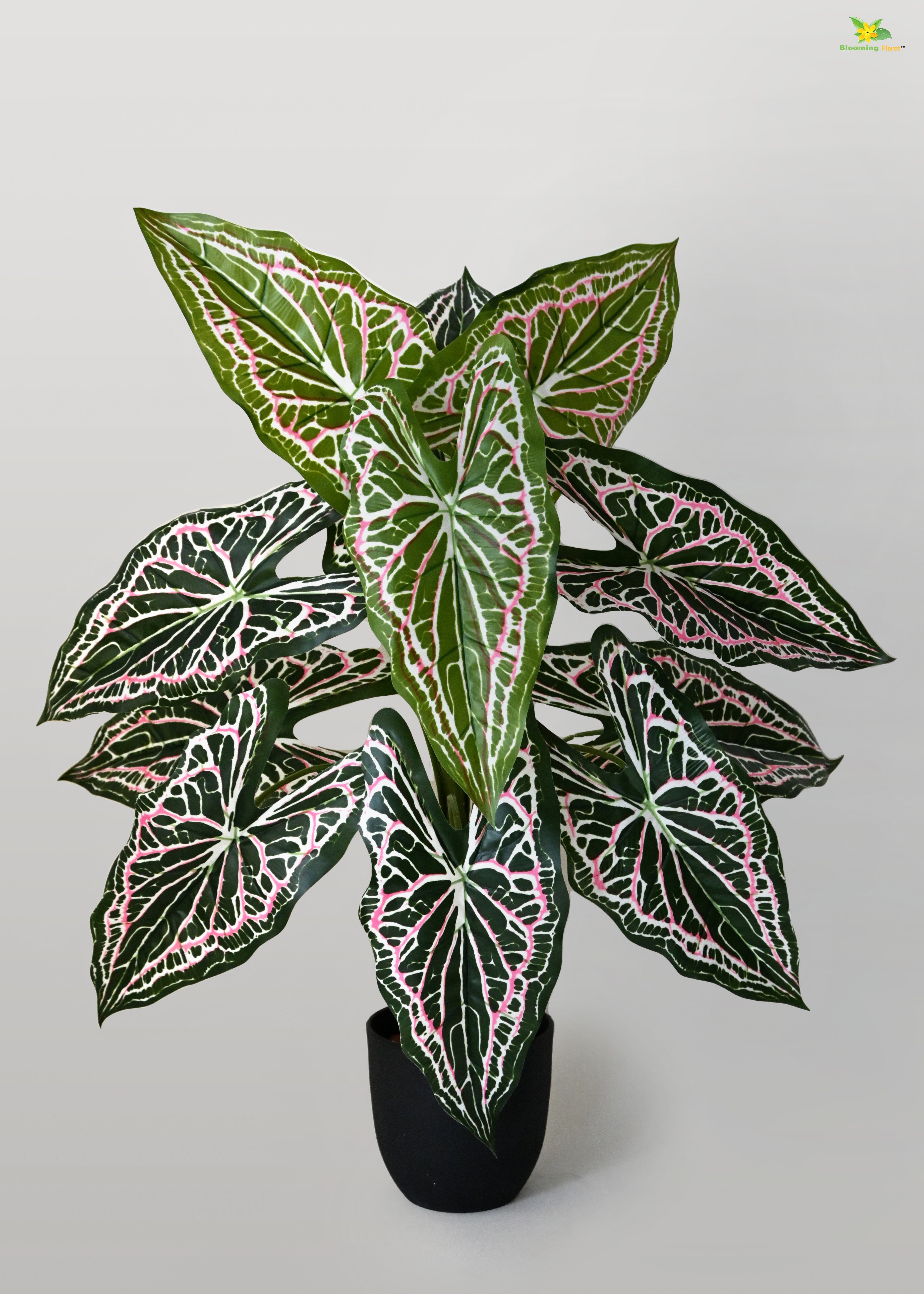 Artificial Web Pattern Caladium Plant for Decor | 12 Leaves with Basic Pot | 78.7 cm