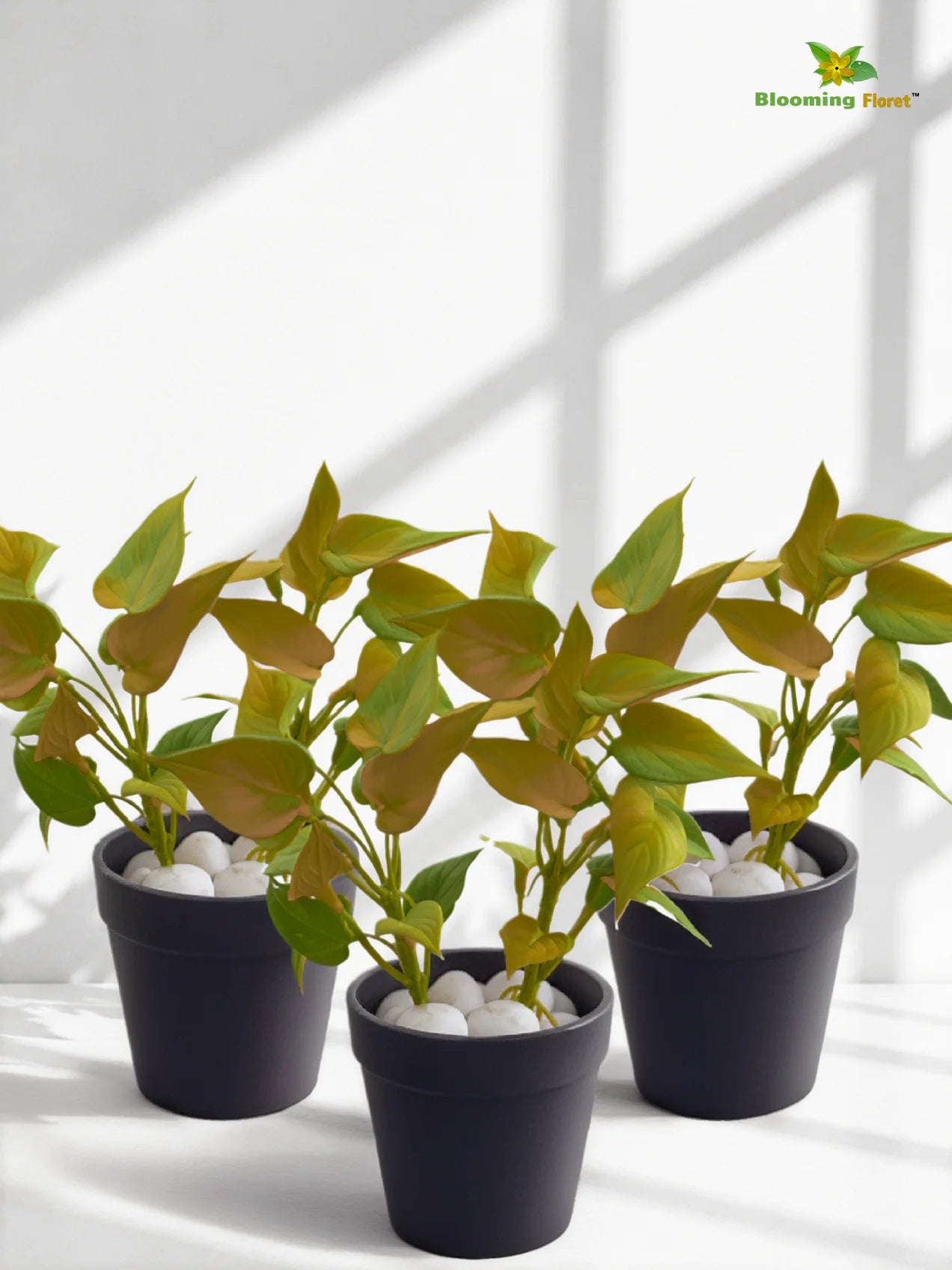Artificial Money Plant Succulent | Army Green | 15 cm | Set of 3
