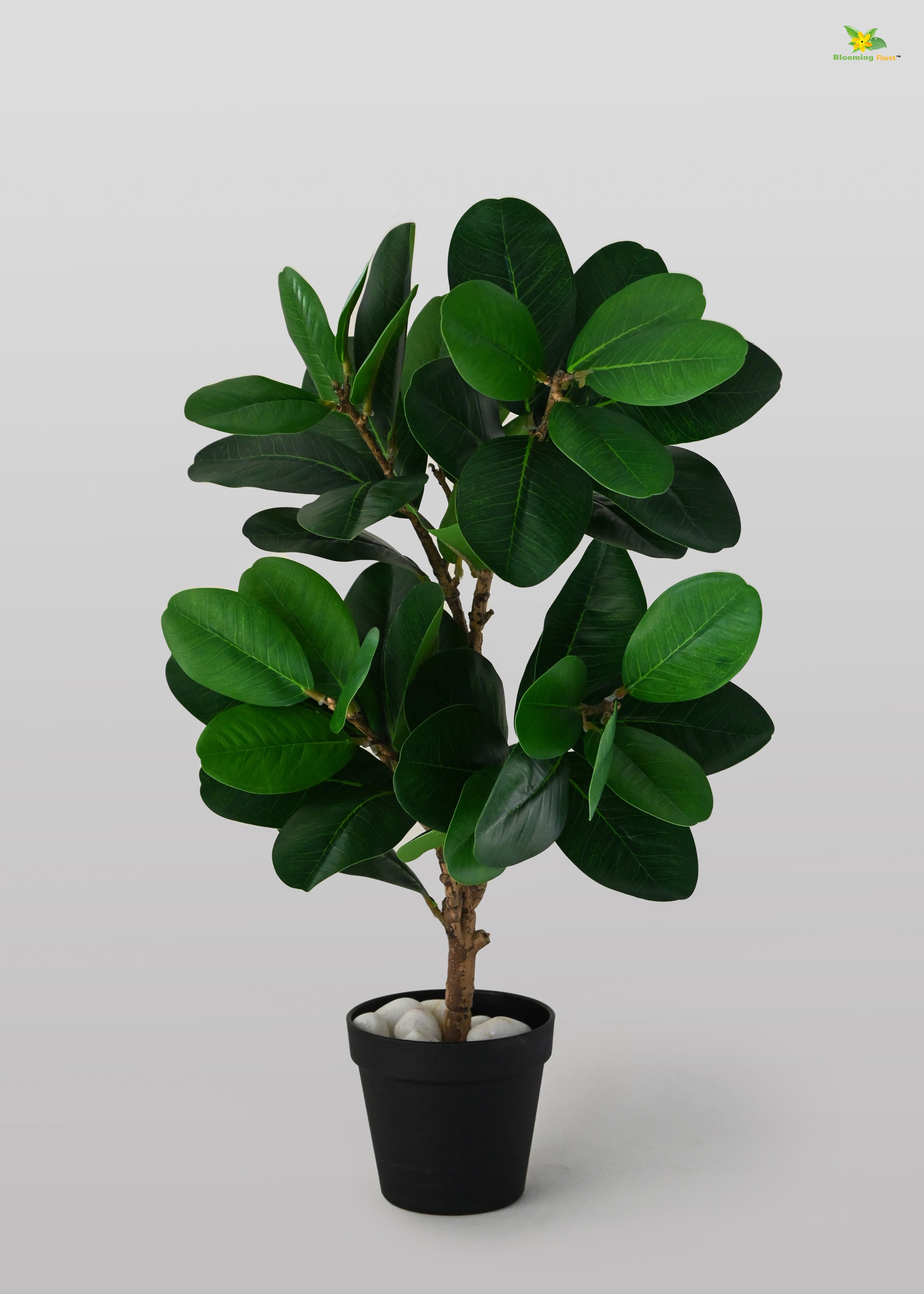 Artificial Fig Plant for Decor | 52 Leaves with Basic Pot | 68.5 cm