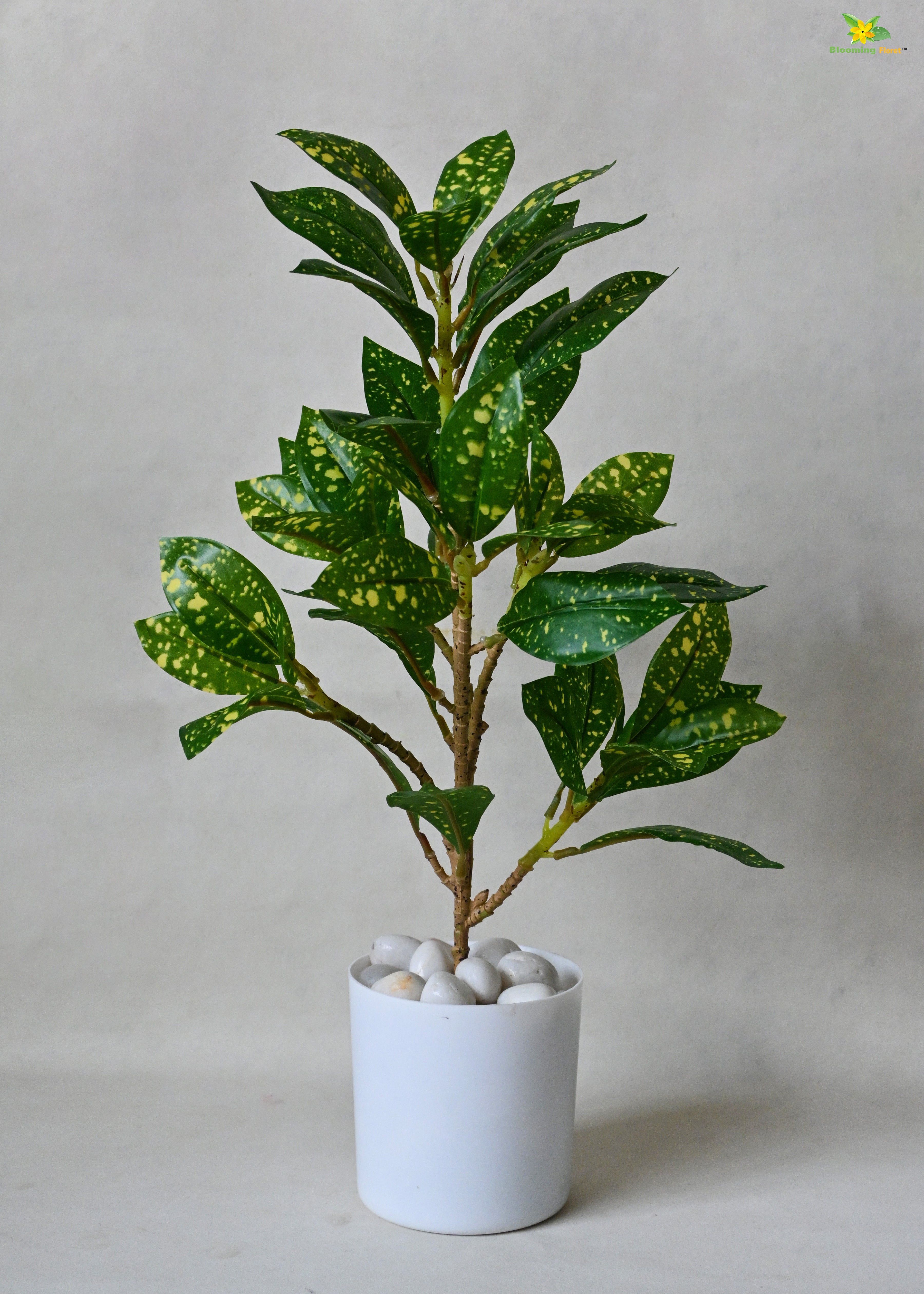 Artificial Gold Dust Croton Plant for Decor with Basic Pot | 45.7 cm