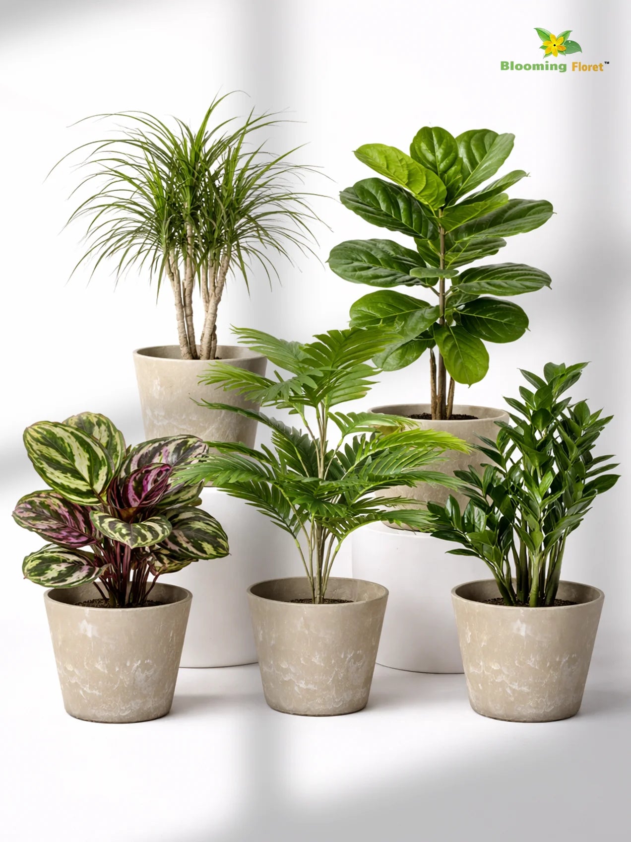 Modern Grace Poly Planter | Mustard Yellow | 15 cm | Set of 5