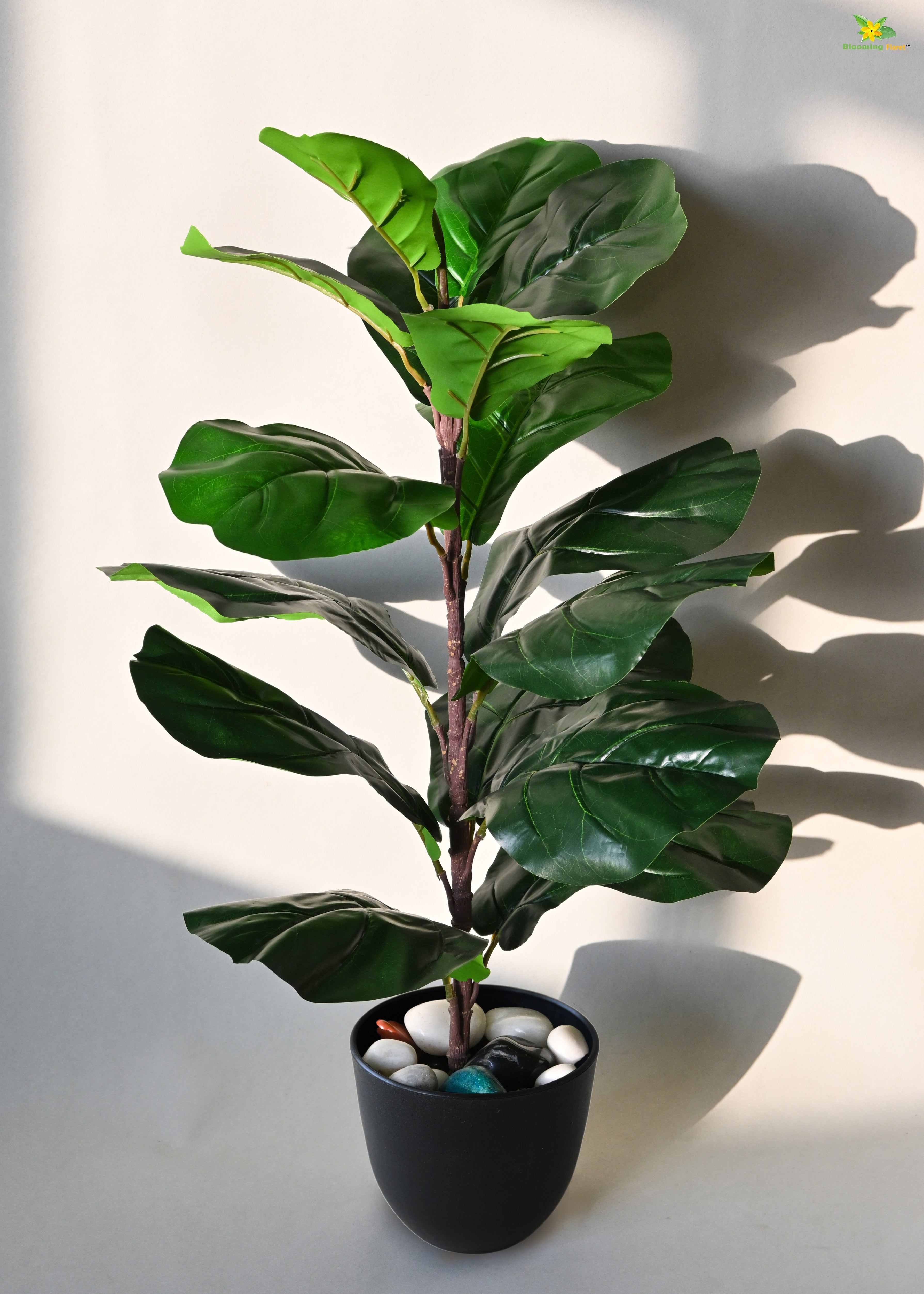 Artificial Fiddle-Leaf Fig Plant for Decor 16 Leaves with Basic Pot | 66 cm