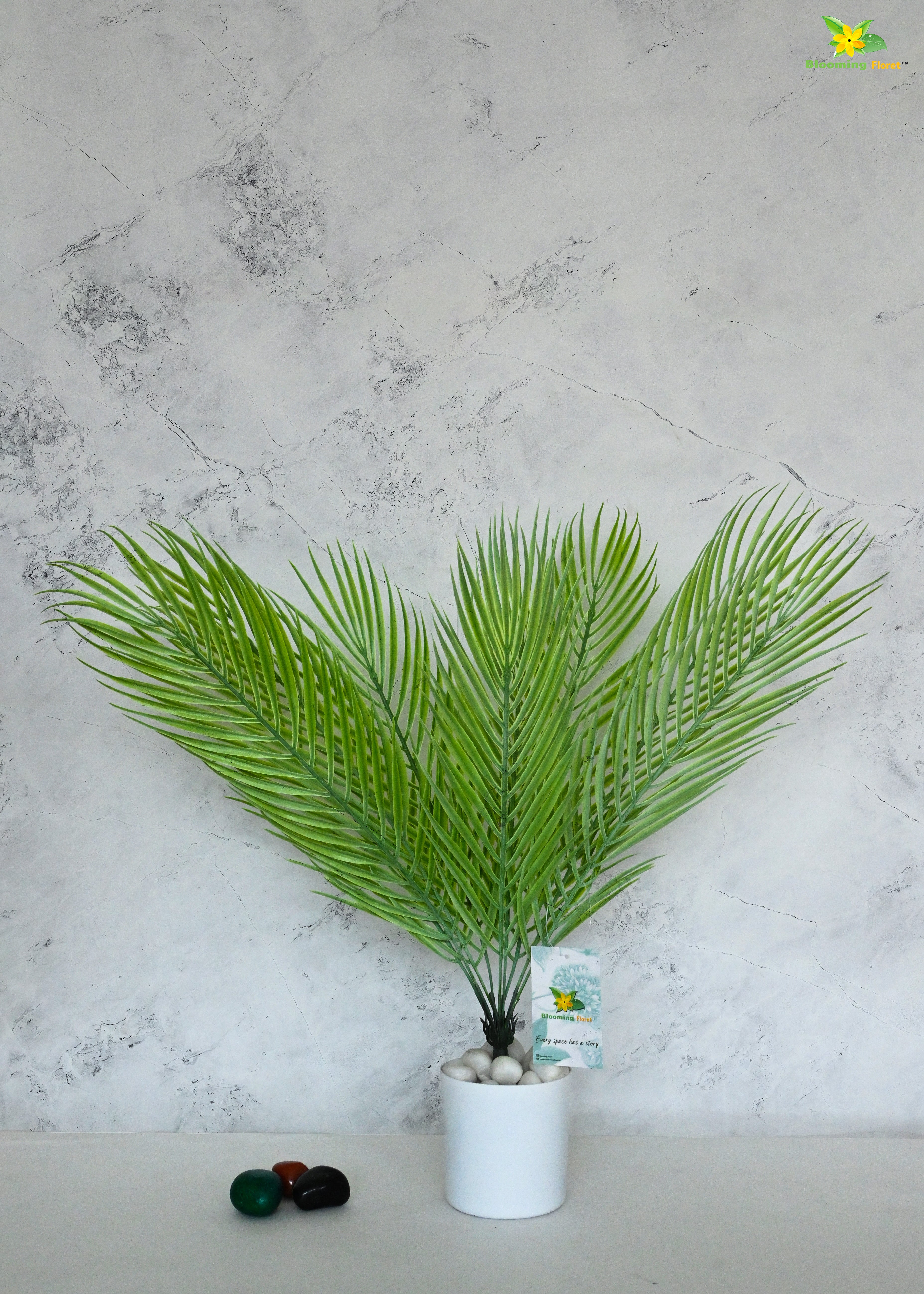 Eternal Zen Areca Palm Plant | Light Green