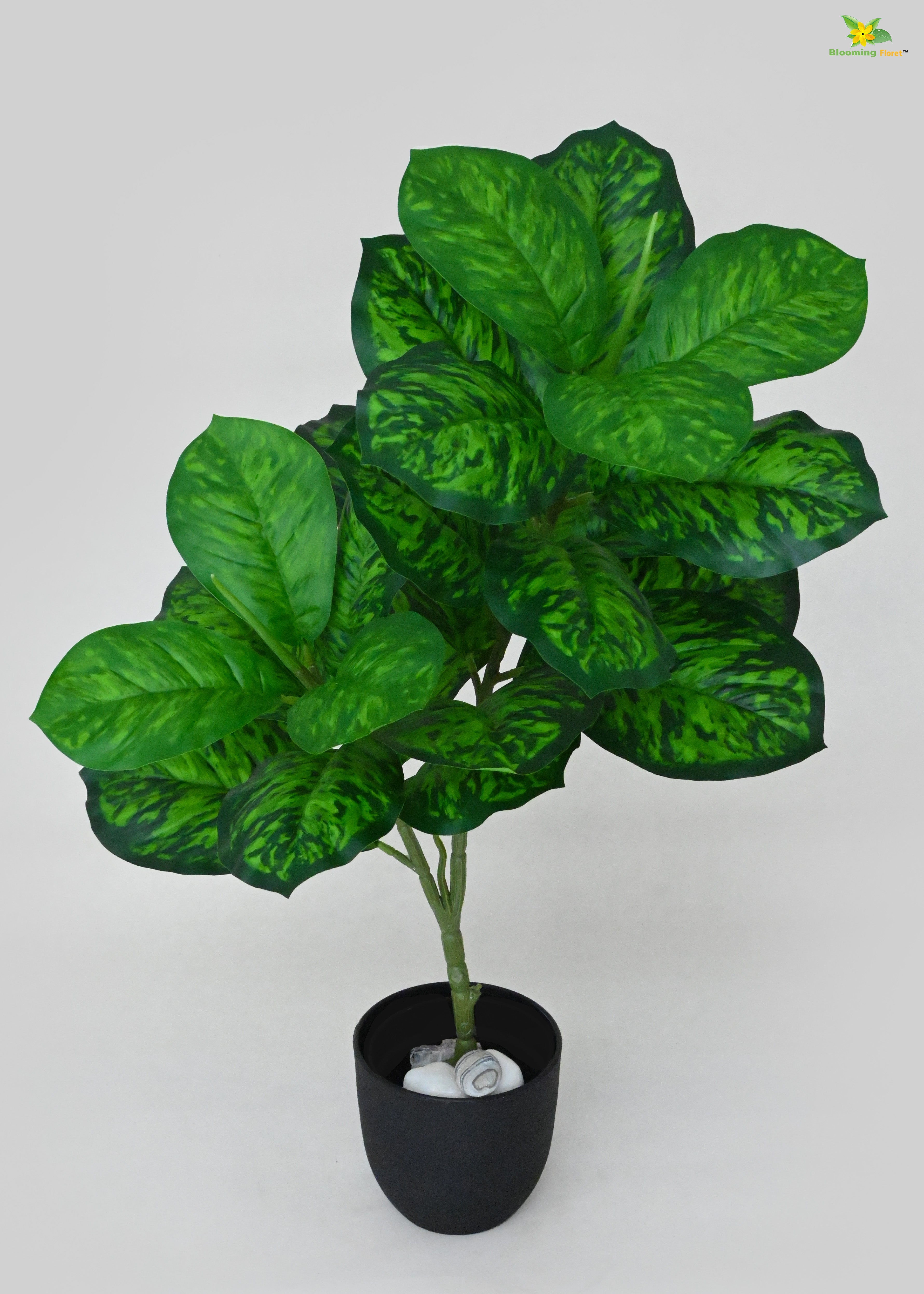 Artificial Dieffenbachia Seguine Plant for Decor | 24 Leaves with Basic Pot | 74.9 cm