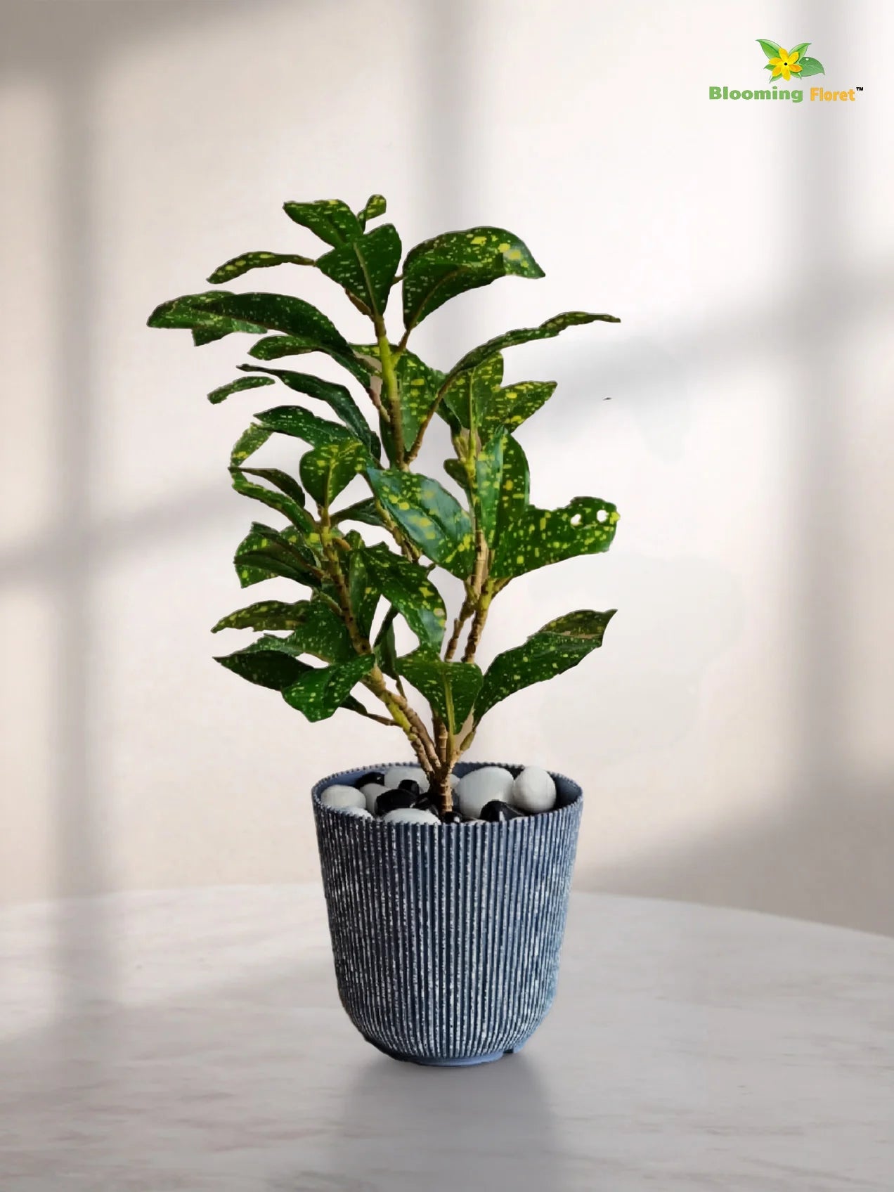 Ribbed Pattern Round Planter | 11.5 cm