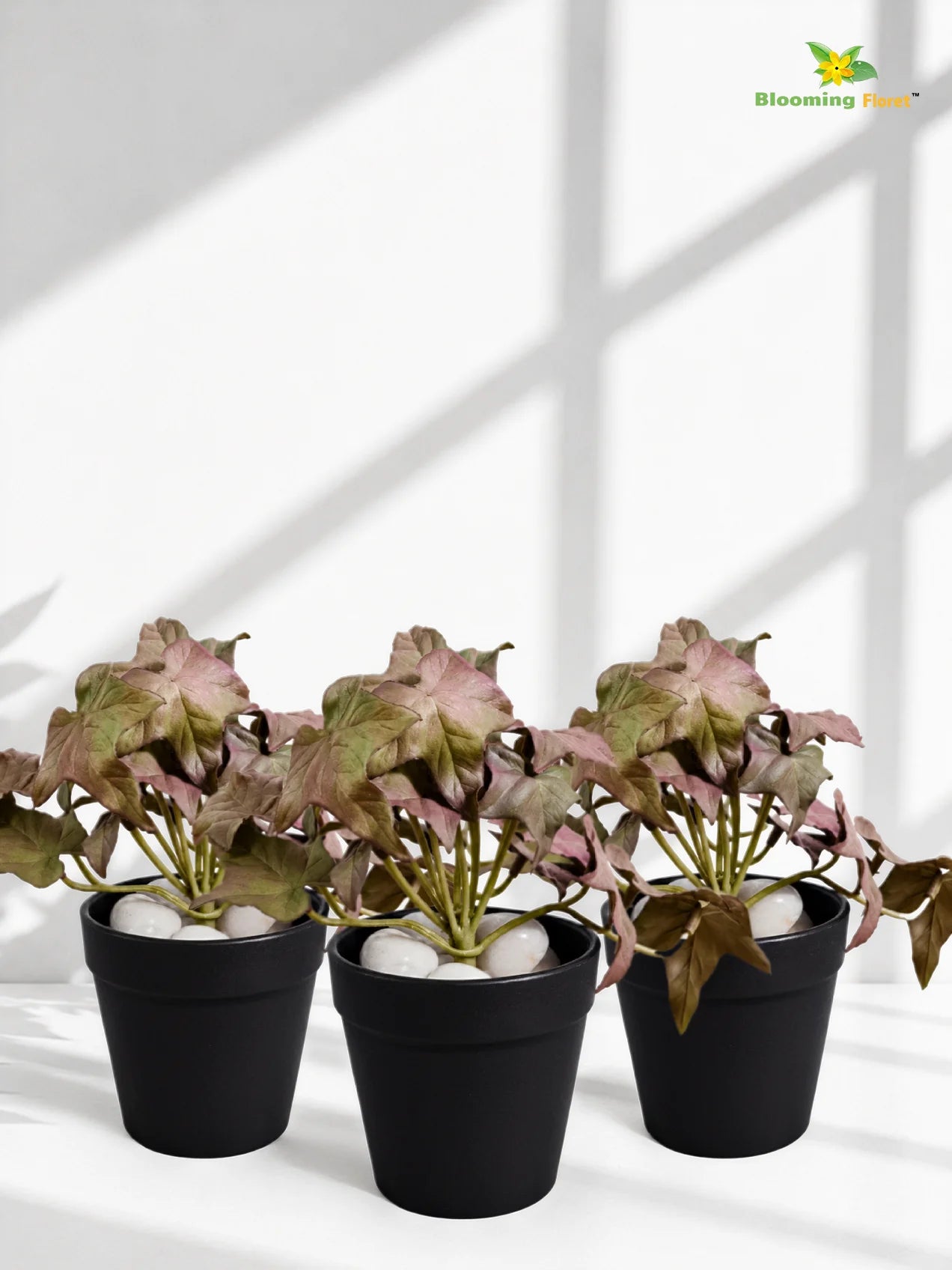 Artificial Ivy Succulent | Army Green | 10 cm | Set of 3