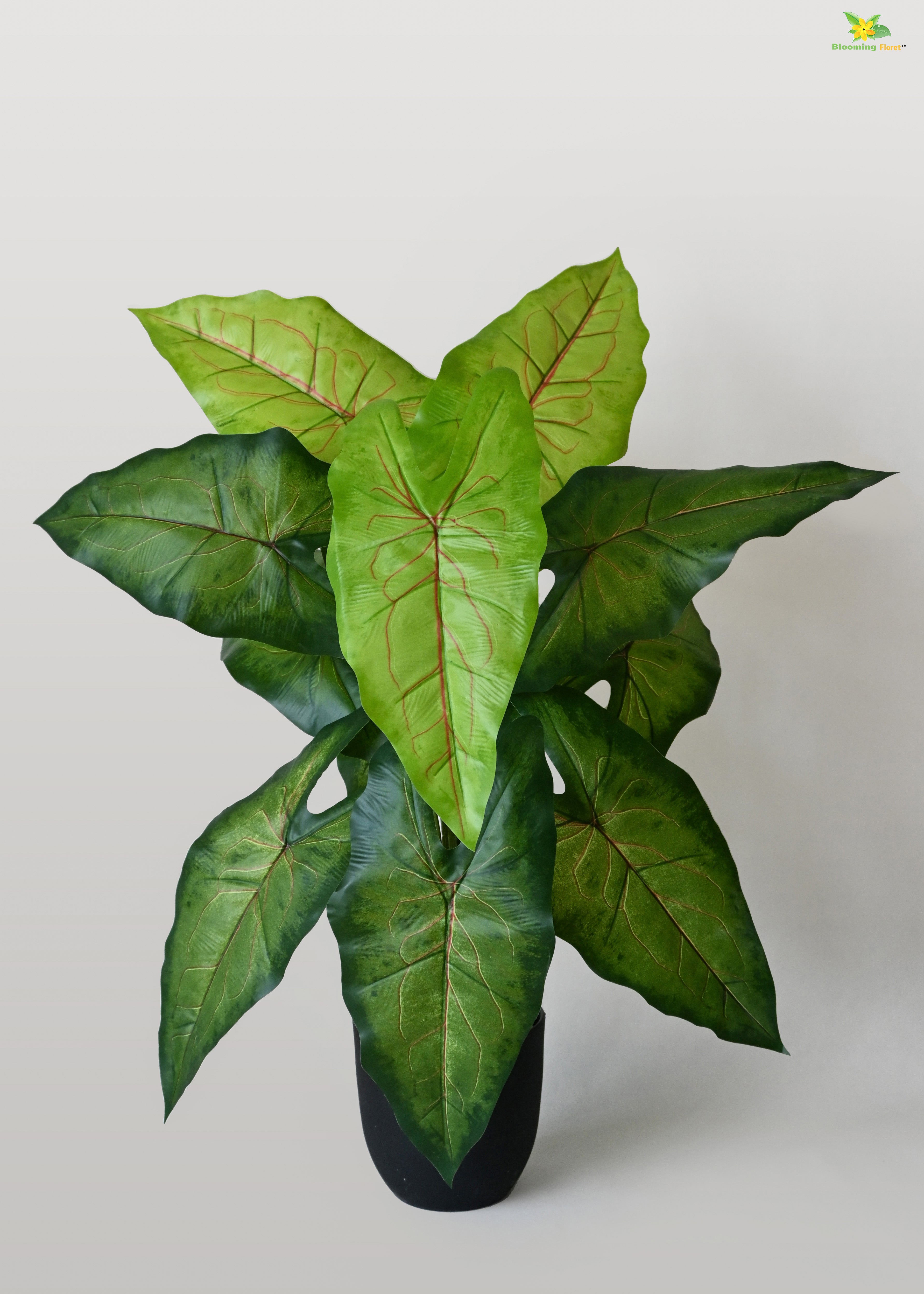 Artificial Caladium Plant for Decor | 12 Leaves with Basic Pot | 78.7 cm