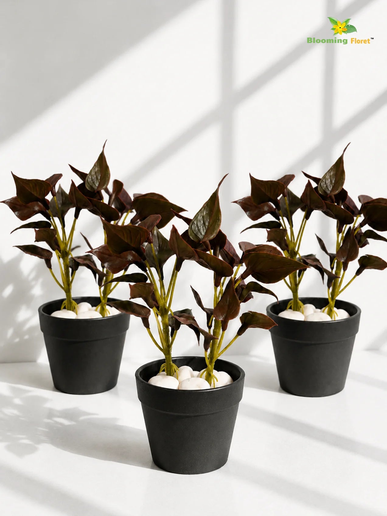 Artificial Money Plant Succulent | Maroon | 15 cm | Set of 3