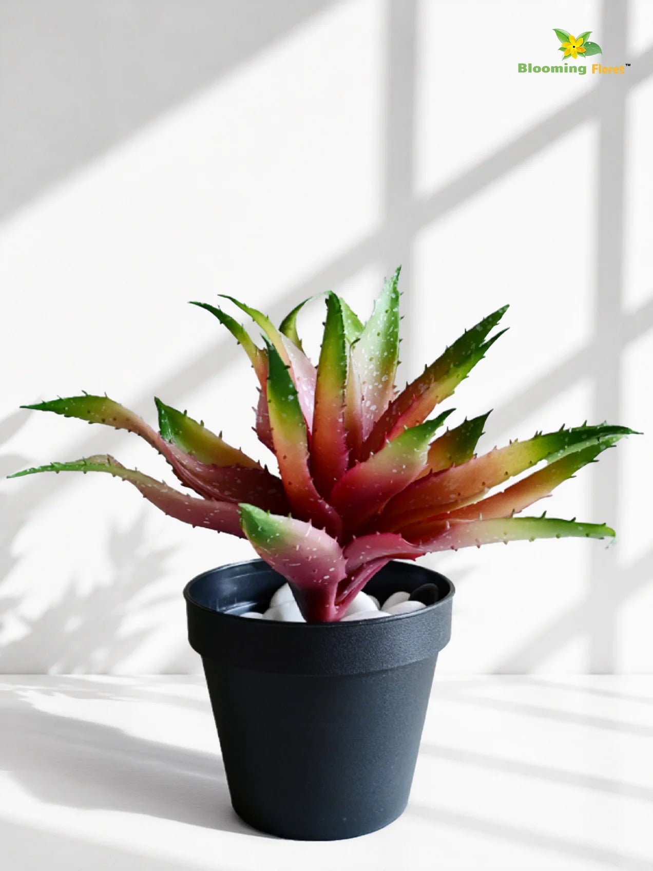 Artificial Aloe Vera Plant | Green & Maroon Leaves | 24 cm
