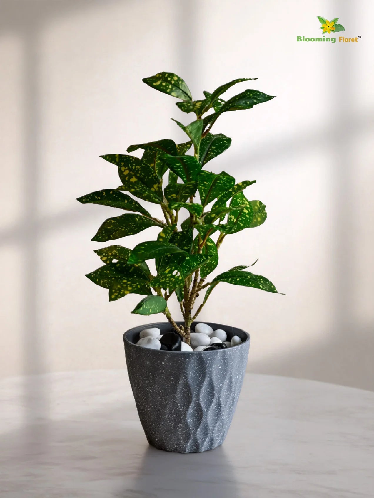 Diamond Pattern Round Planter | 13 cm