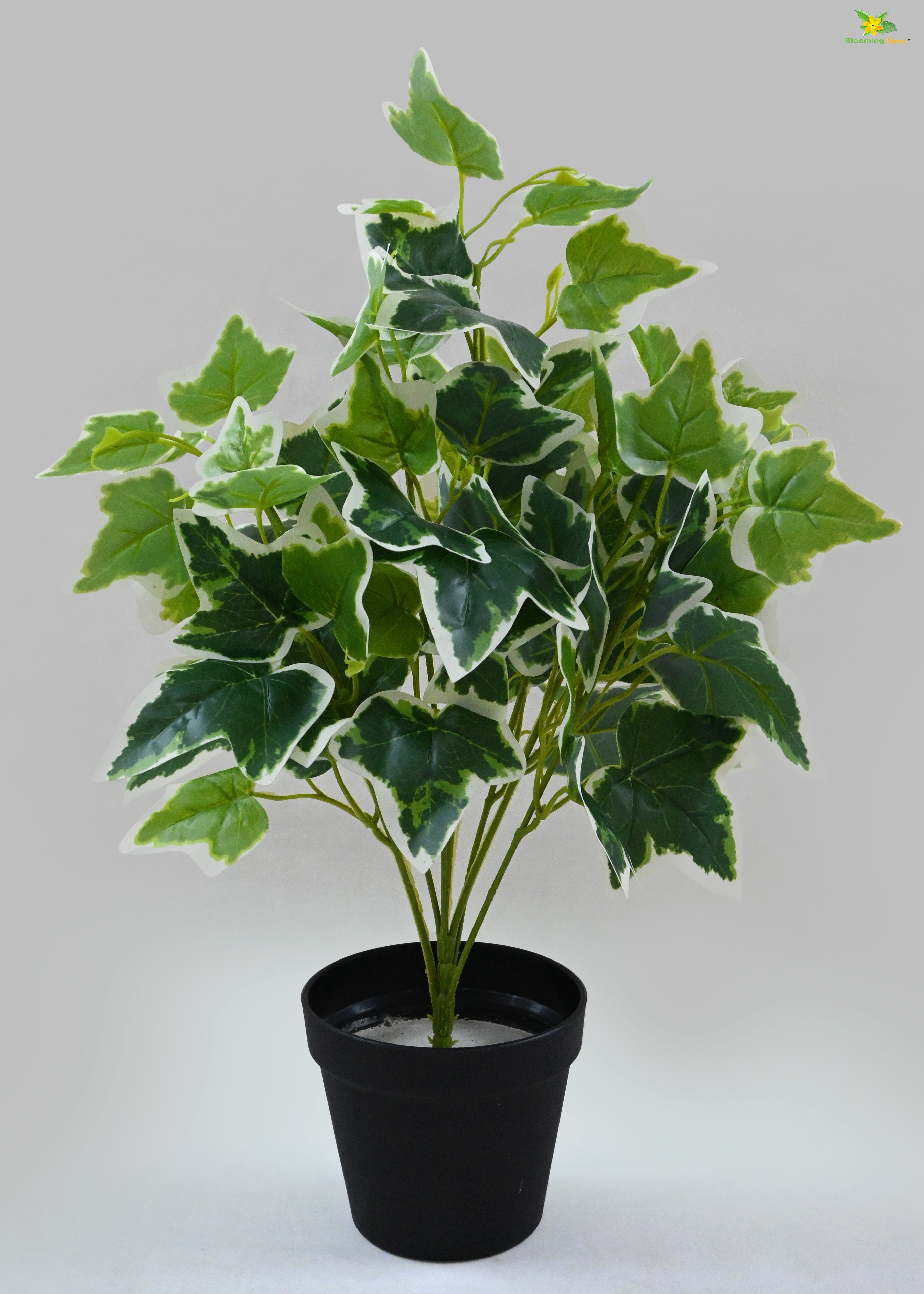 Ivory Elegance Bettina Ivy Plant for Decor | with Basic Pot | 48.3 cm