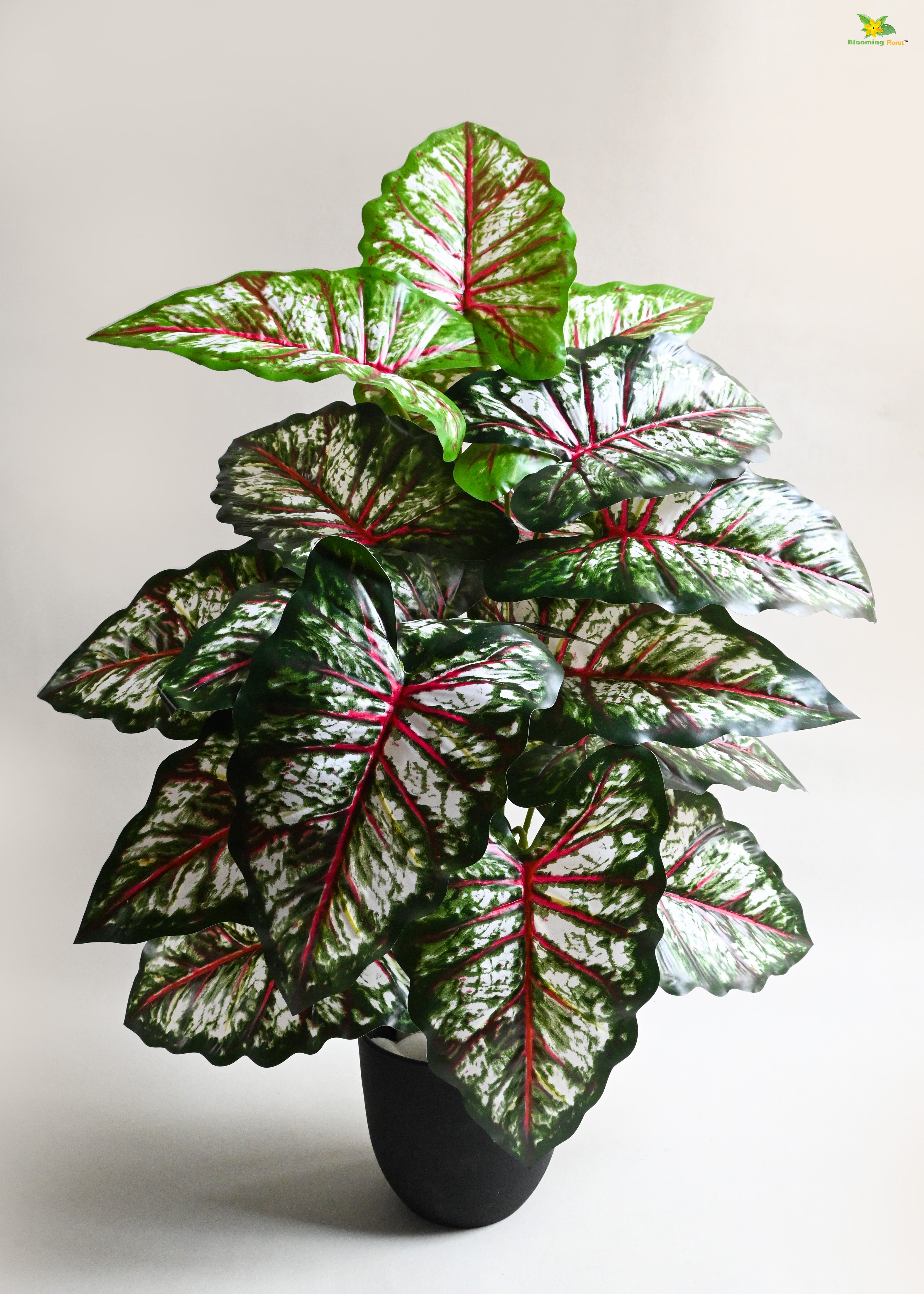 Artificial Tropical Caladium Plant for Decor | 18 Leaves with Basic Pot | 78.7 cm