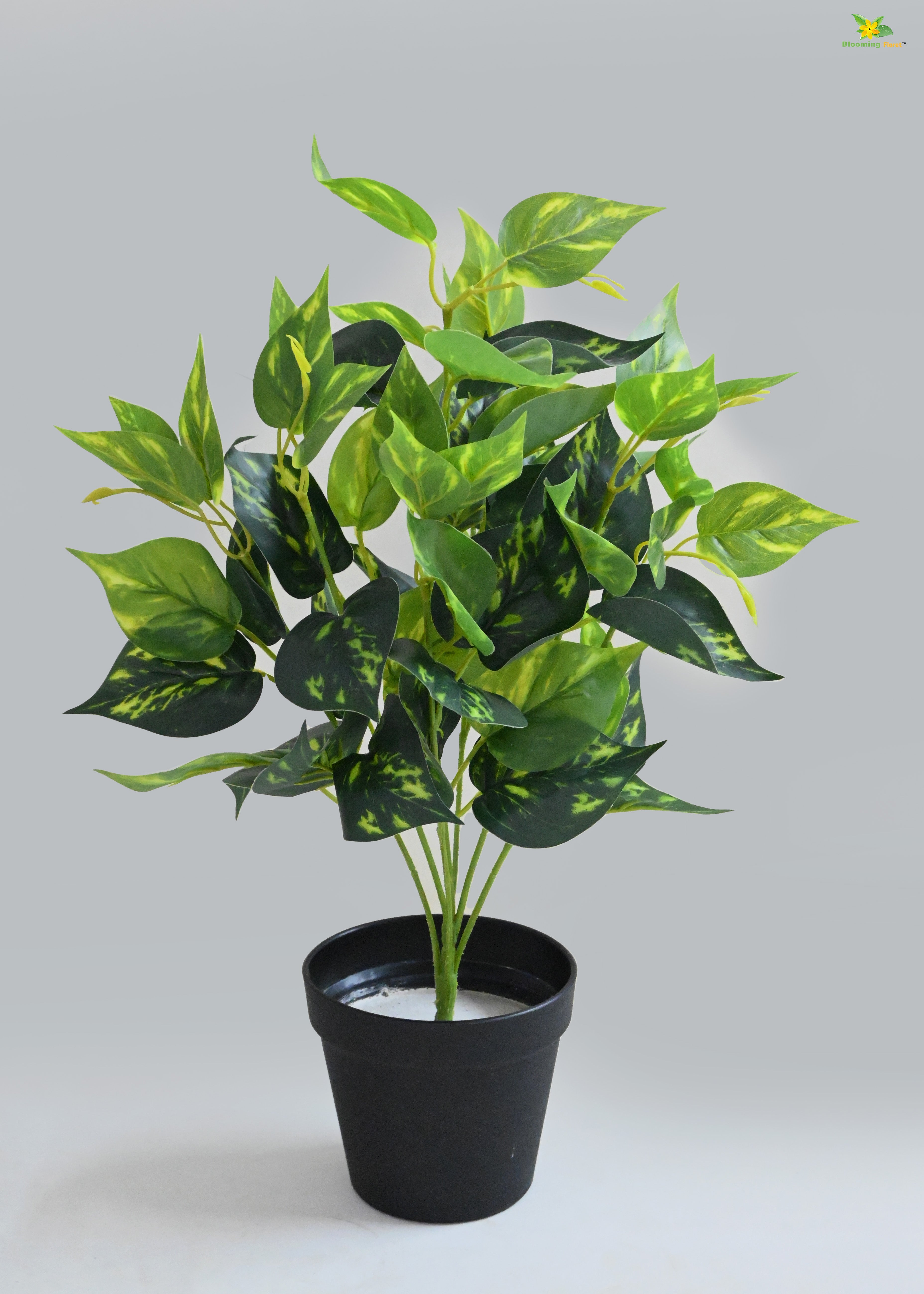 Artificial Golden Pothos for Decor | with Basic Pot | 48.3 cm