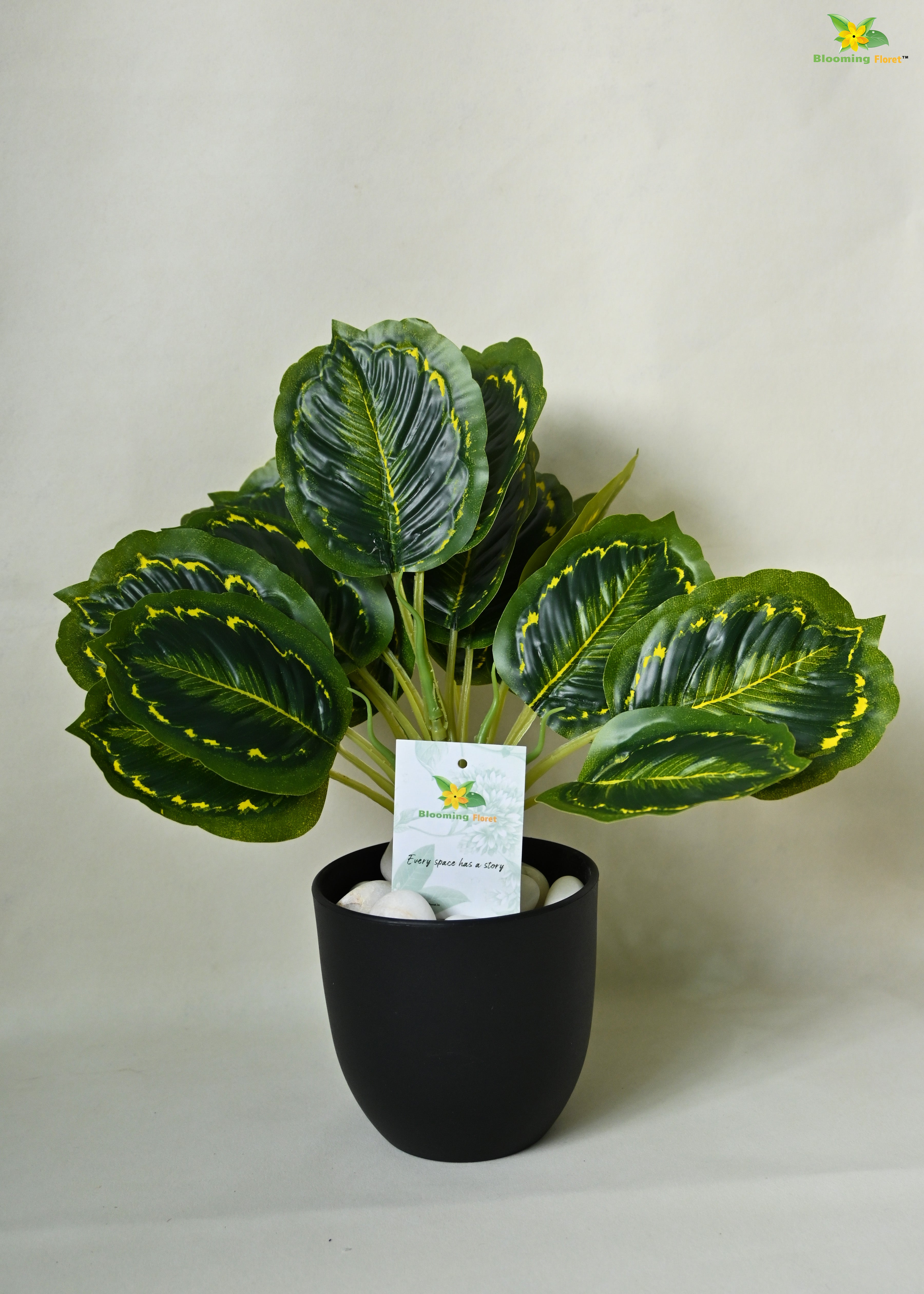 Artificial Calathea Roseopicta Plant For Decor | 18 Leaves with Basic Pot | 33 cm