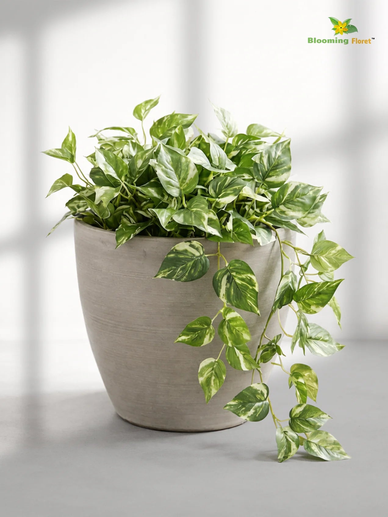 Decorative Pots |Light Brown | 12 cm
