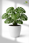 Elegant Ribbed Melamine Pot | White | 16 cm