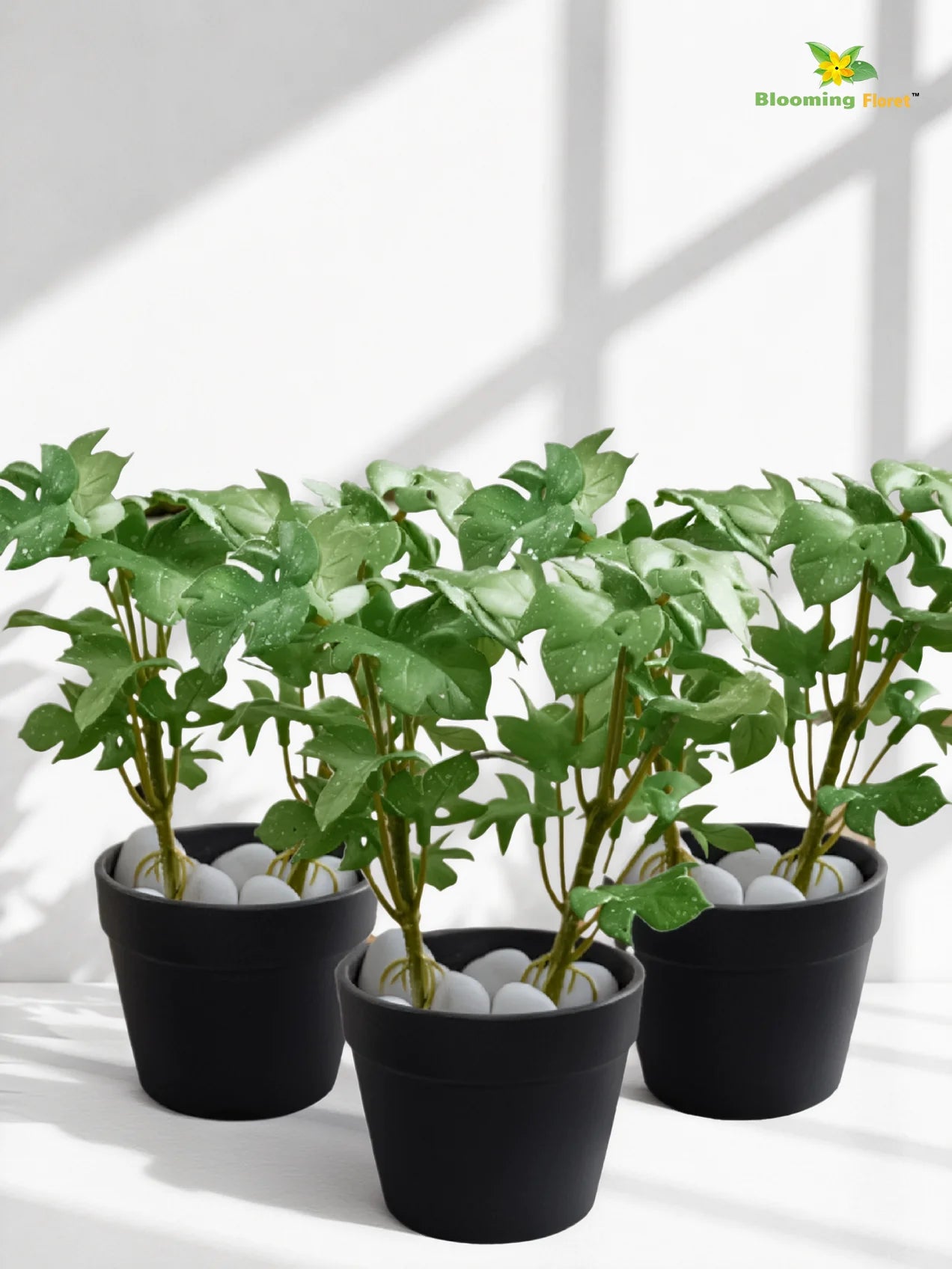 Artificial Mini Monstera Succulent | Green | 15 cm | Set of 3