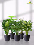 Black Round Planter | 17 cm | Set of 5