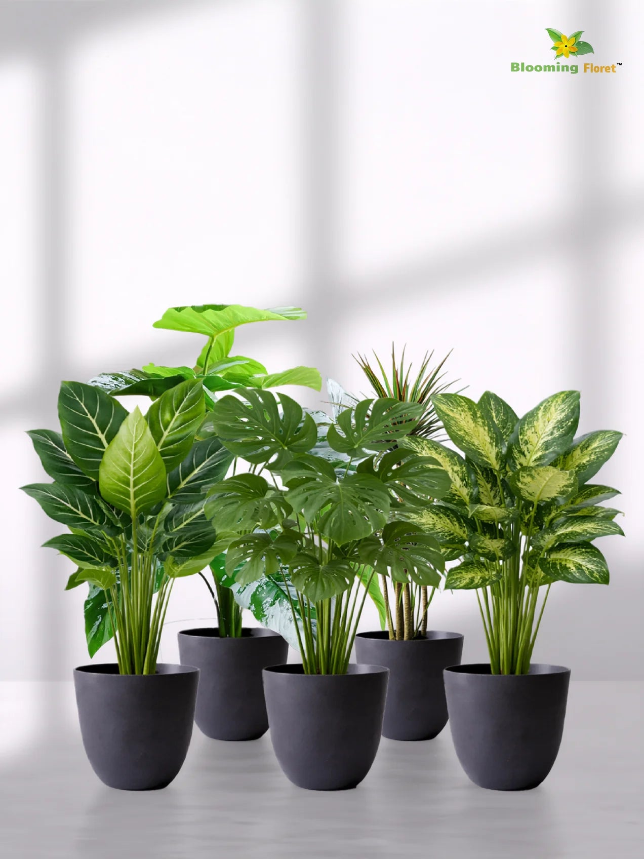 Black Round Planter | 17 cm | Set of 5