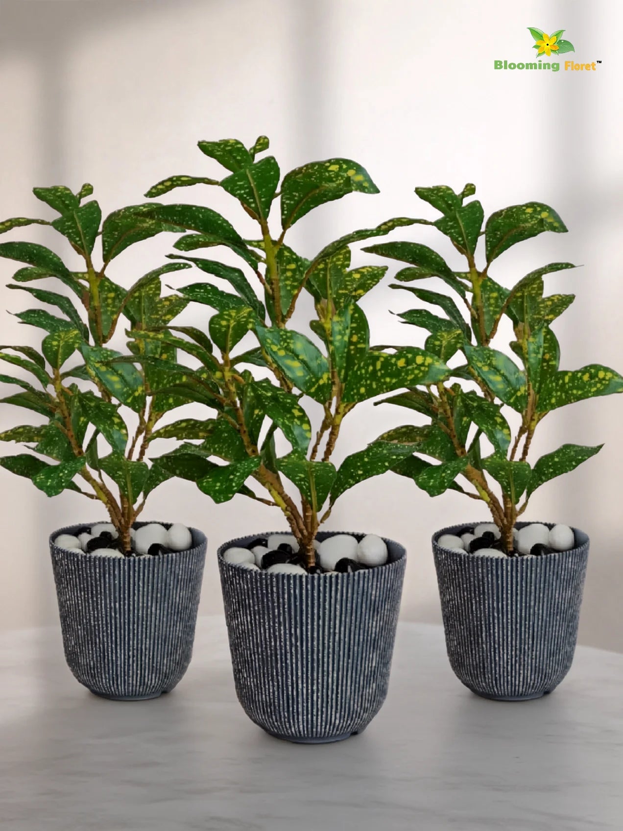 Ribbed Pattern Round Planter | 11.5 cm | Set of 3
