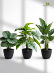 Elegant Ribbed Melamine Pot | Black | 15 cm | Set of 3