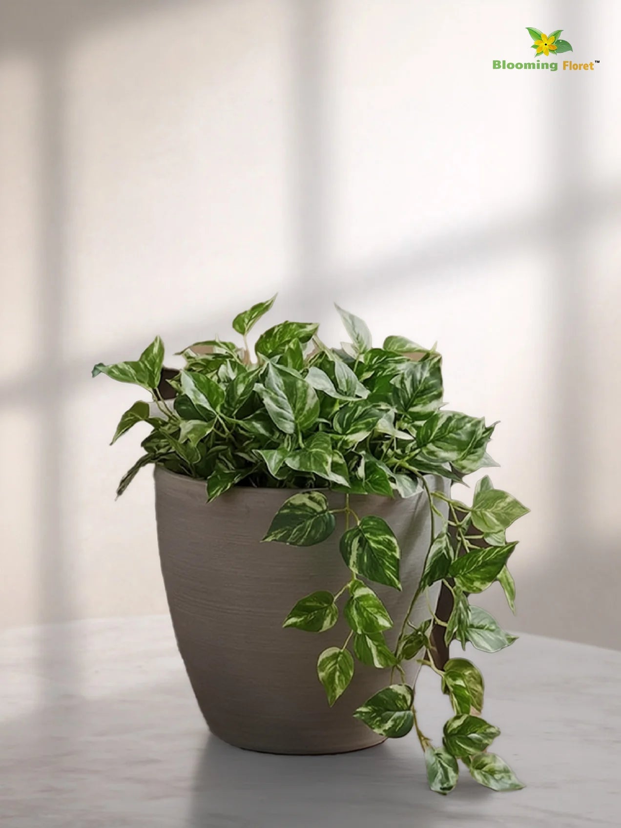 Decorative Pots | Light Brown | 17 cm