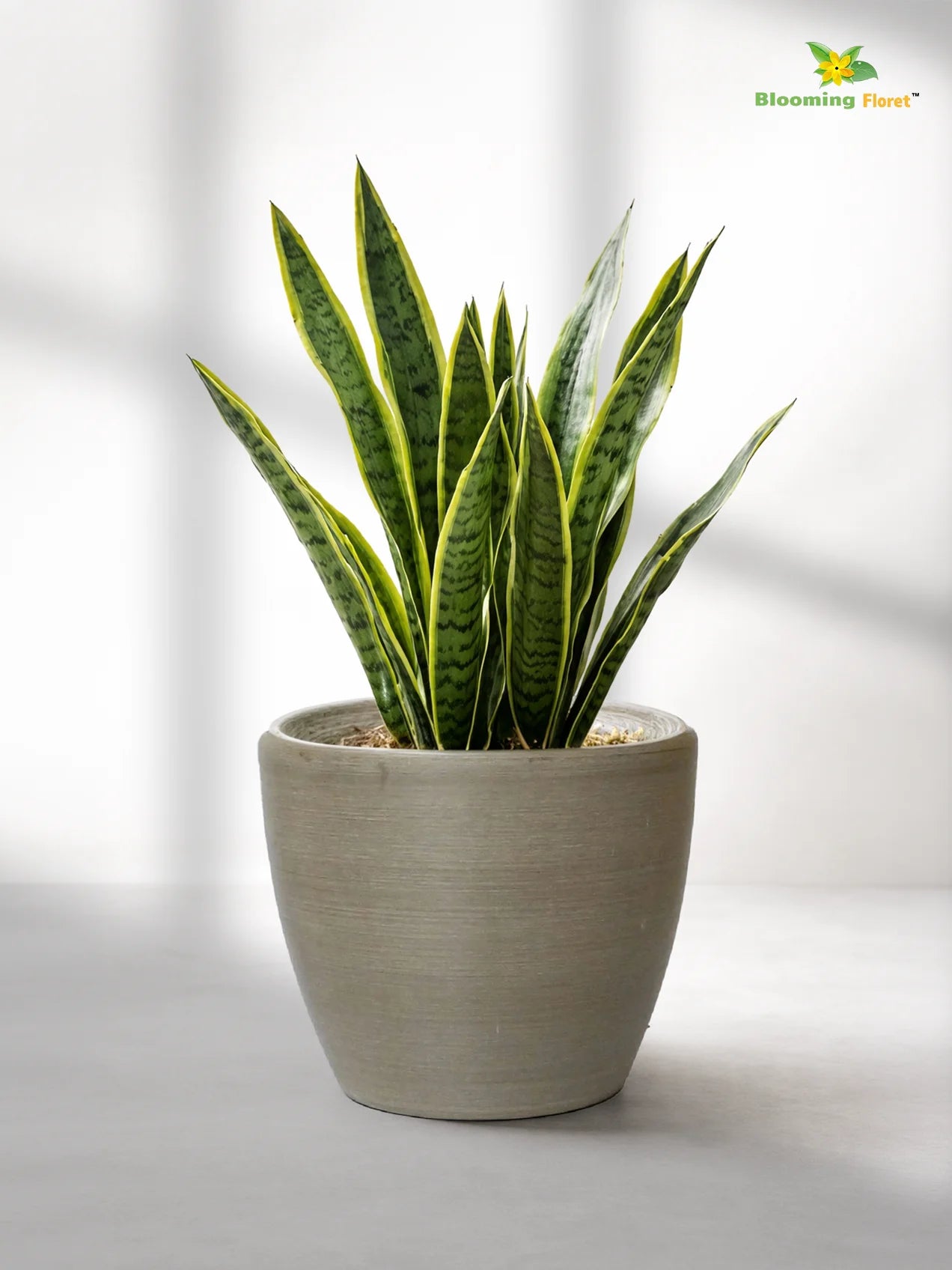 Decorative Pots | Light Brown | 15 cm