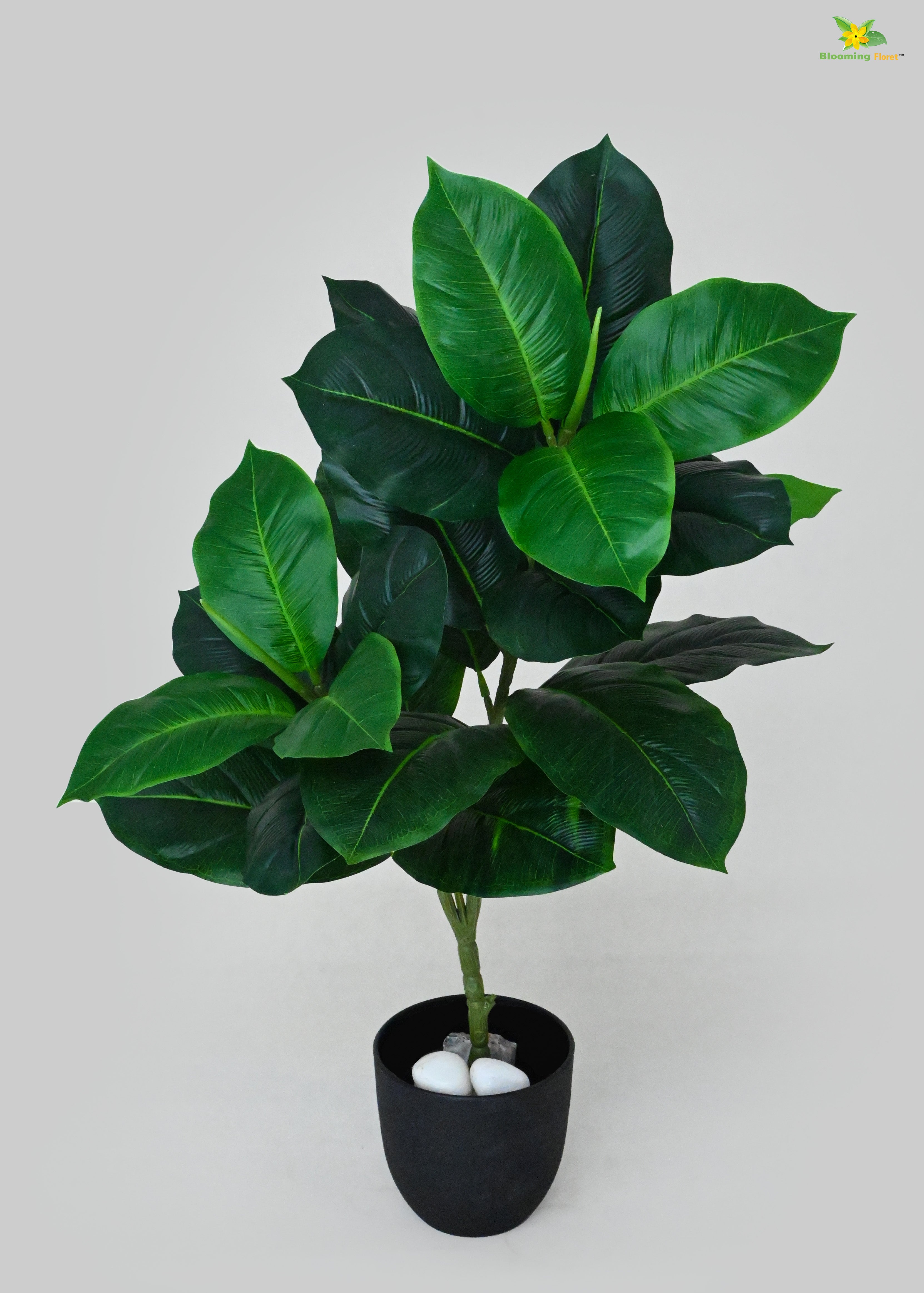 Artificial Rubber Fig Plant for Decor | 24 Leaves with Basic Pot | 74.9 cm