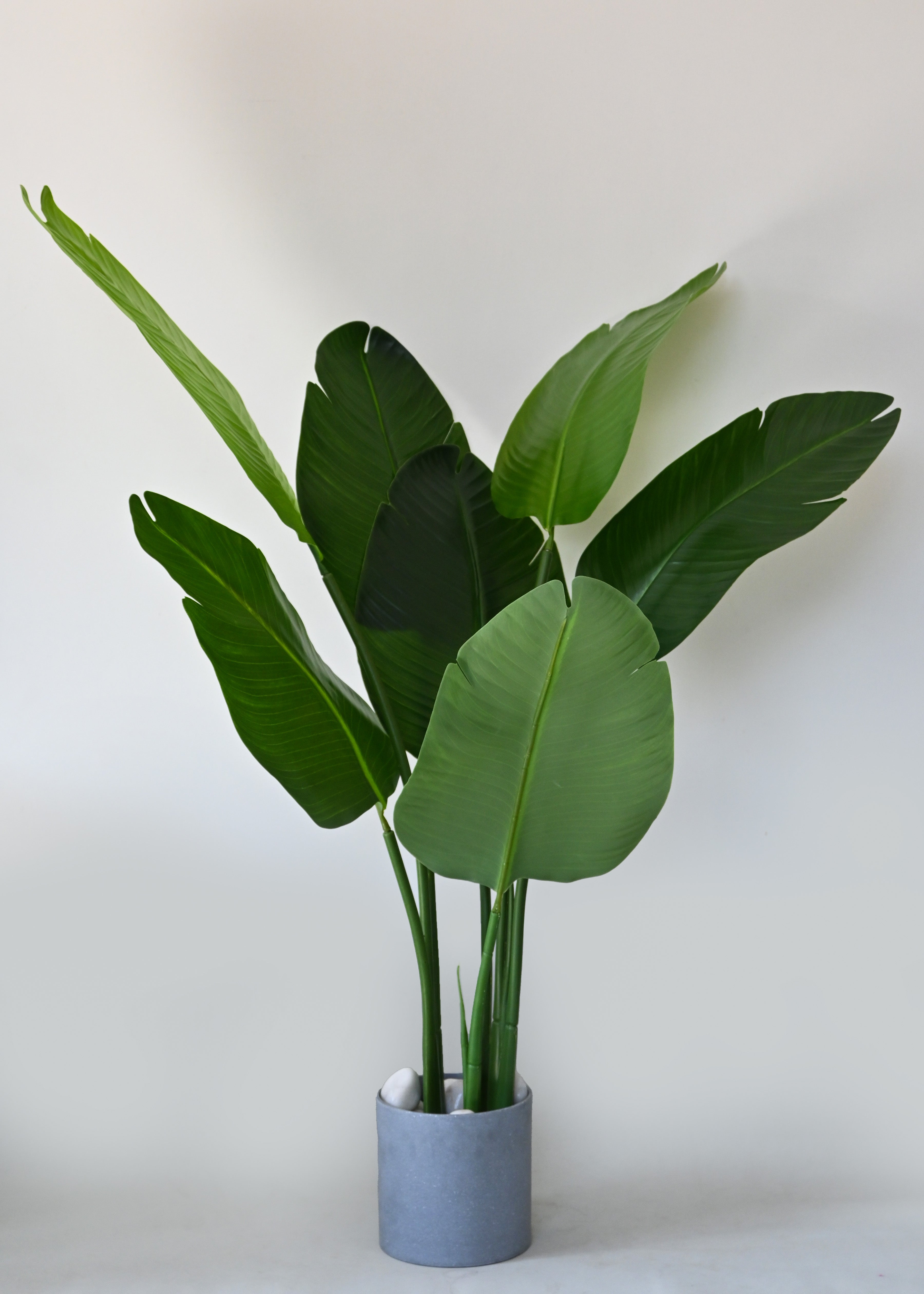 Artificial Banana Plant for Decor 3 Stem 7 Leaves with Basic Pot | 108 cm