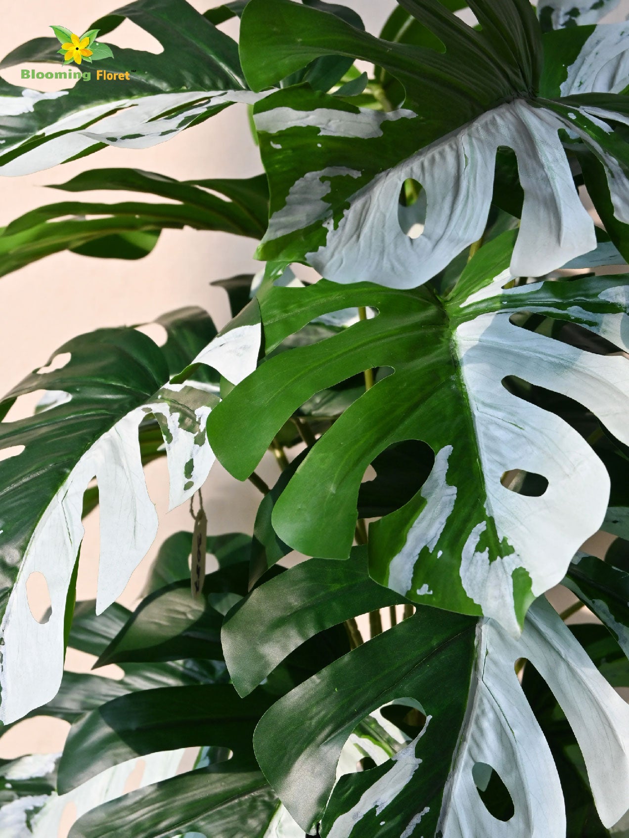 Artificial Monstera Plant – 78 cm, 18 Leaves, Green-White, with Basic Pot