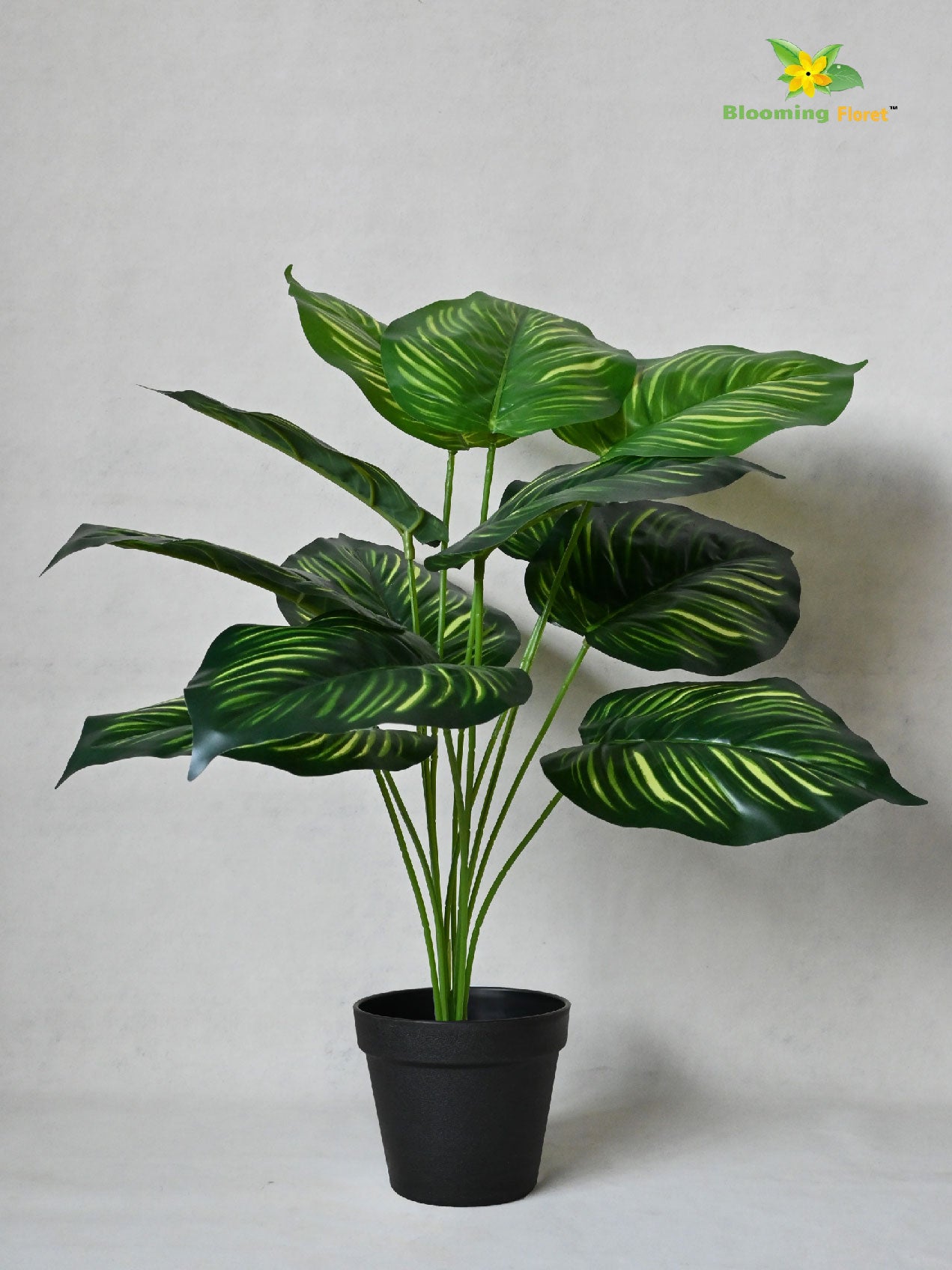 Artificial Calathea Orbifolia Plant – 65 cm, 12 Leaves, with Basic Pot