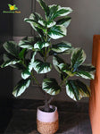 Artificial Jungle Velvet Plant – 95 cm, 33 Leaves, with Basic Pot
