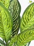 Artificial Ivory White Croton Plant – 71.1 cm, 26 Leaves, with Pot