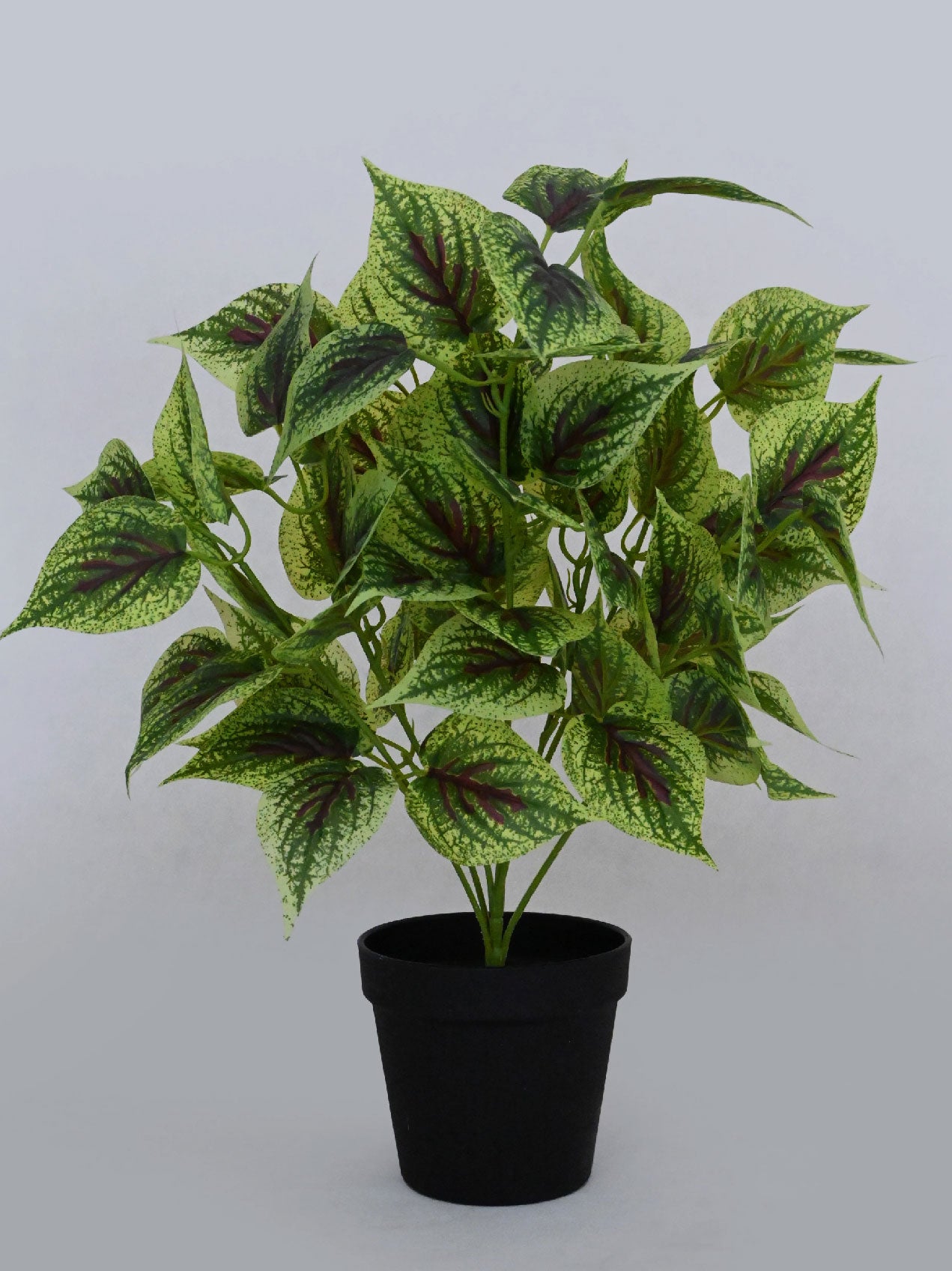 Artificial Dragon Heart Coleus Plant – 48.3 cm, with Basic Pot