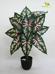 Artificial Tropical Caladium Plant – 78 cm, 18 Green, Red and White Leaves, with Basic Pot