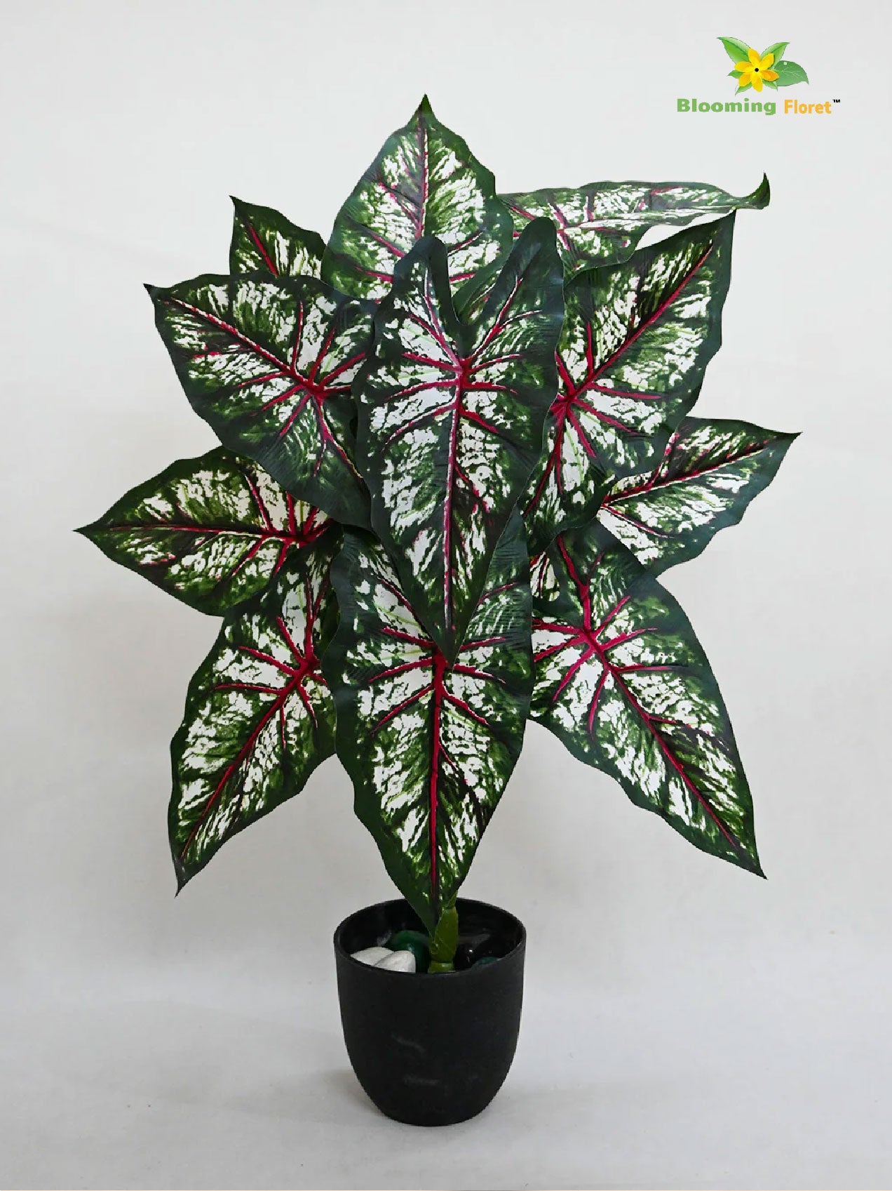 Artificial Tropical Caladium Plant – 78 cm, 12 Green, Red and White Leaves, with Basic Pot