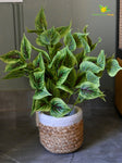Artificial Dragon Heart Coleus Plant – 48.3 cm, with Basic Pot