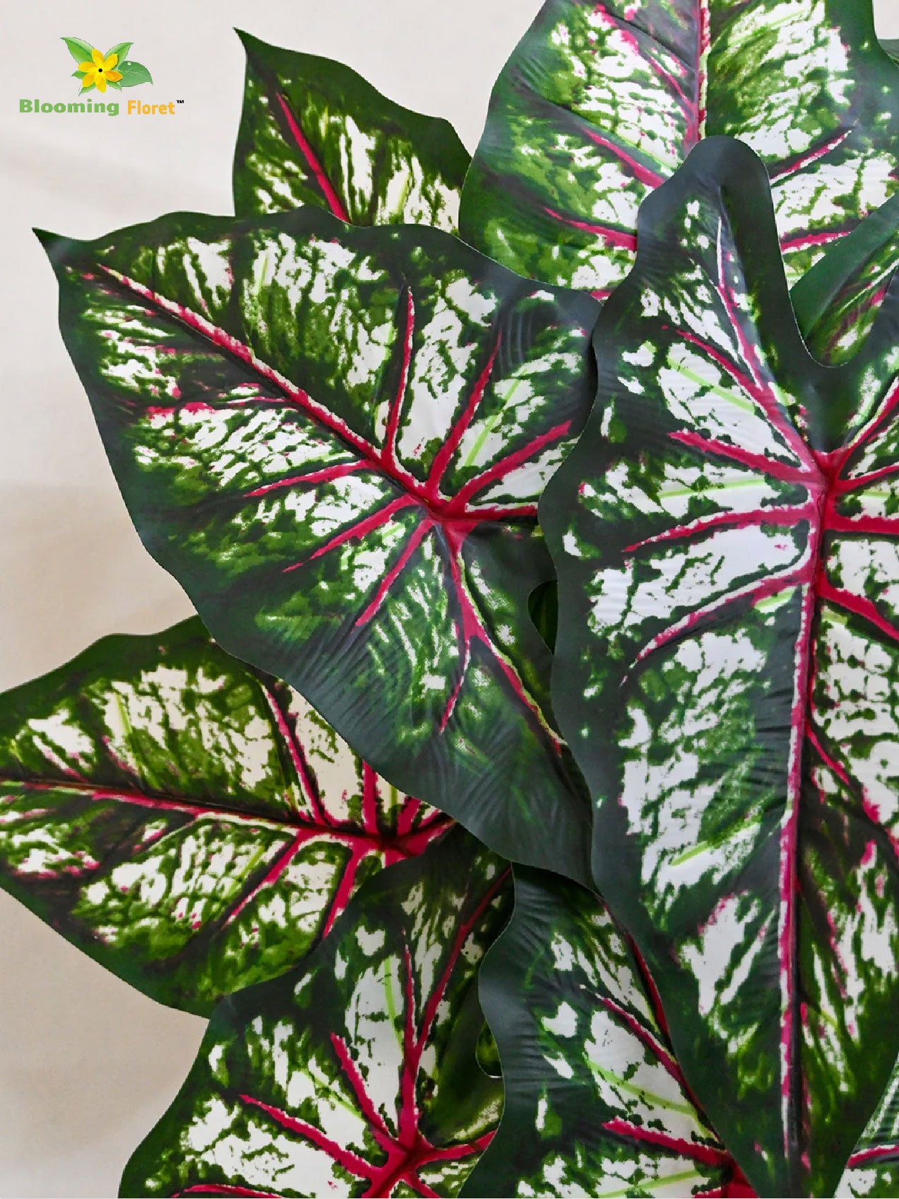 Artificial Tropical Caladium Plant – 78 cm, 12 Green, Red and White Leaves, with Basic Pot