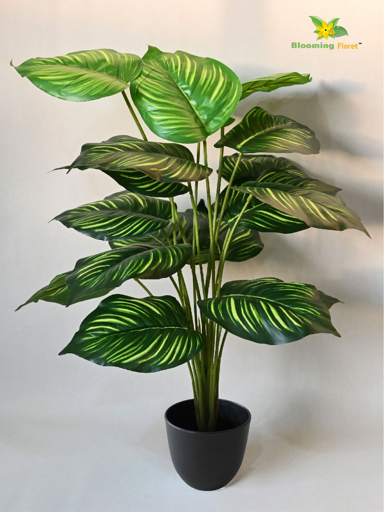 Artificial Calathea Orbifolia Plant – 73 cm, 18 Leaves, with Basic Pot