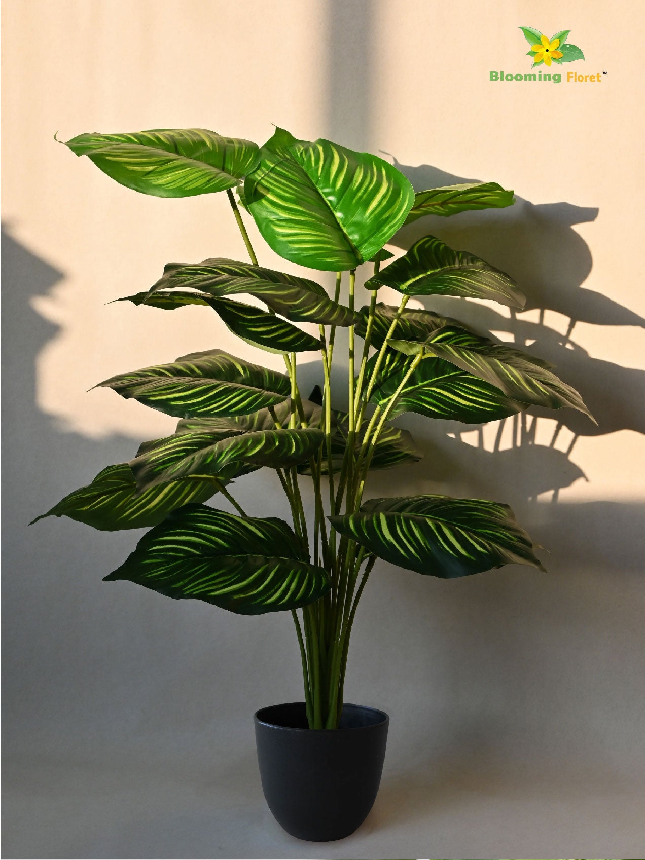 Artificial Calathea Orbifolia Plant – 73 cm, 18 Leaves, with Basic Pot