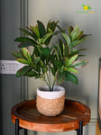 Artificial Croton Leaf Bunch Plant – 50.8 cm, 72 Leaves, with Pot